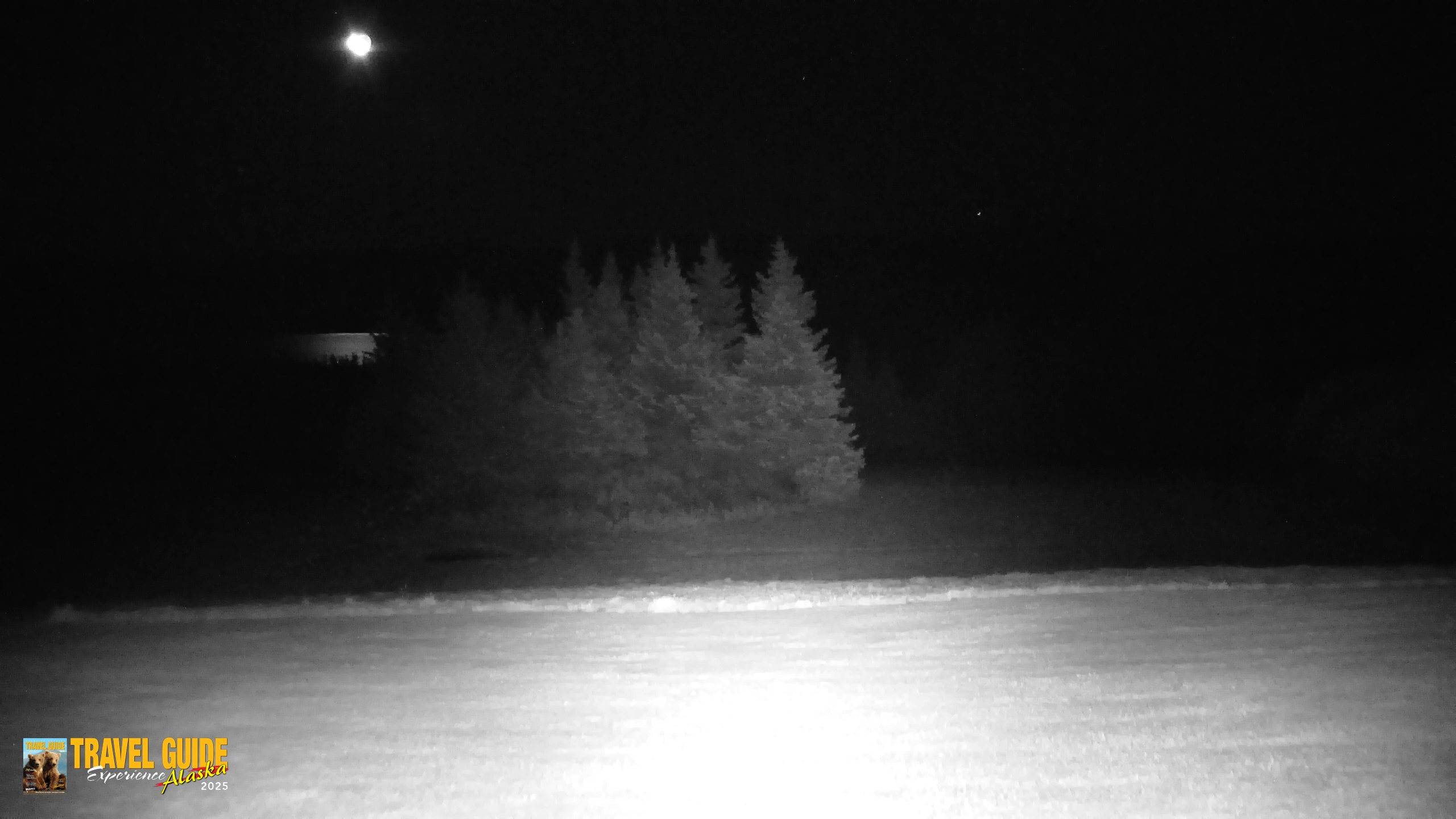 Snapshot of Homer Alaska Northern Lights Live Cam taken Oct 7, 2026, 5:58am AKDT