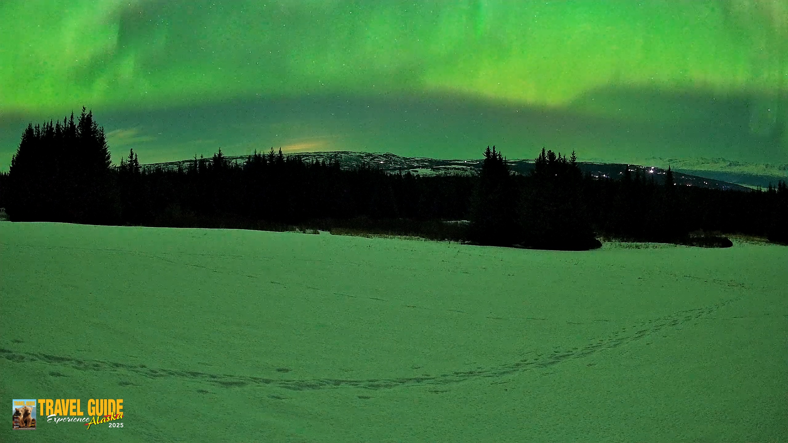 Snapshot of Homer Alaska Northern Lights Live Cam taken Feb 22, 2026, 2:02am AKST