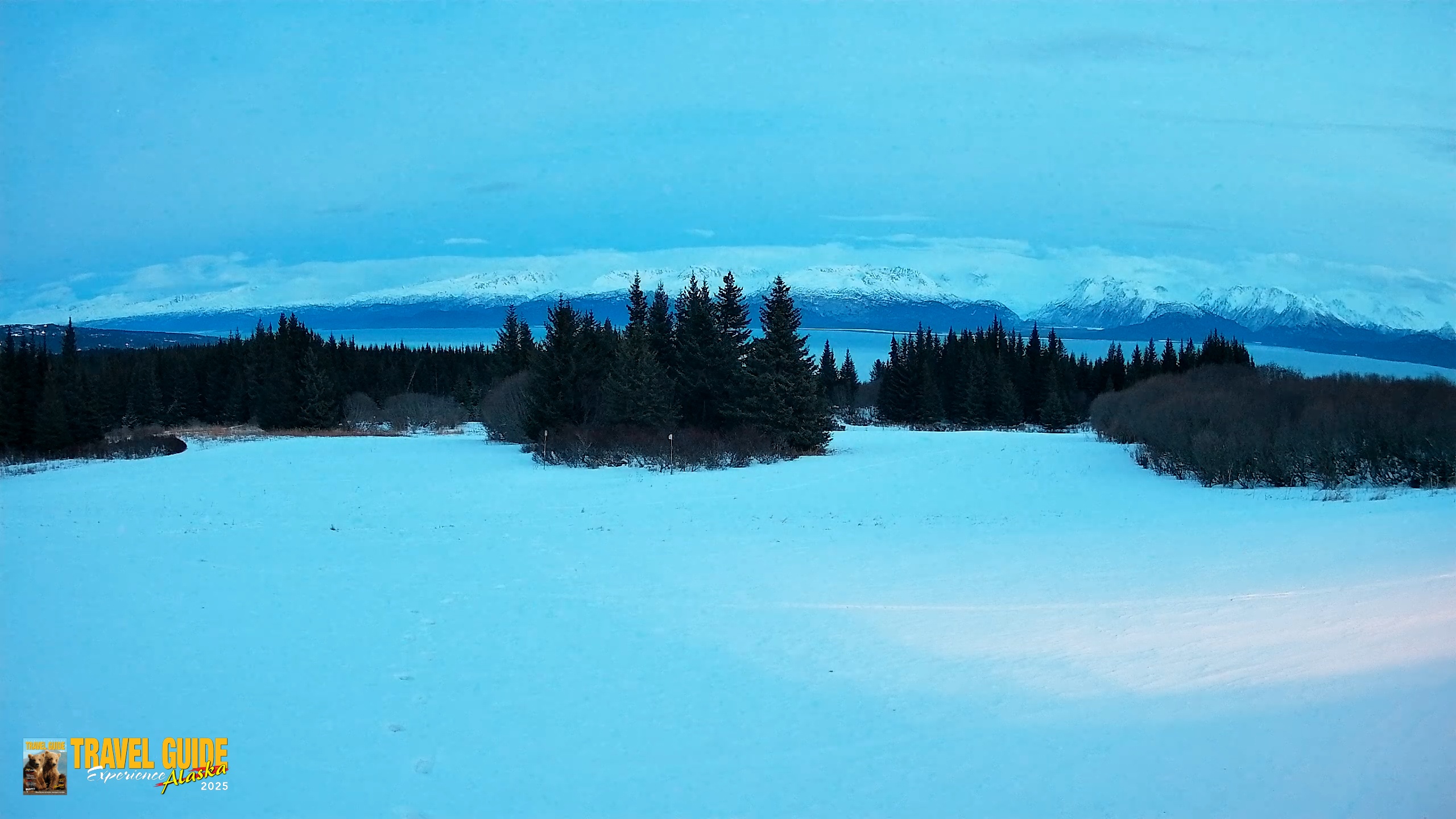 Snapshot of Homer Alaska Northern Lights Live Cam taken Jan 17, 2026, 5:37pm AKST