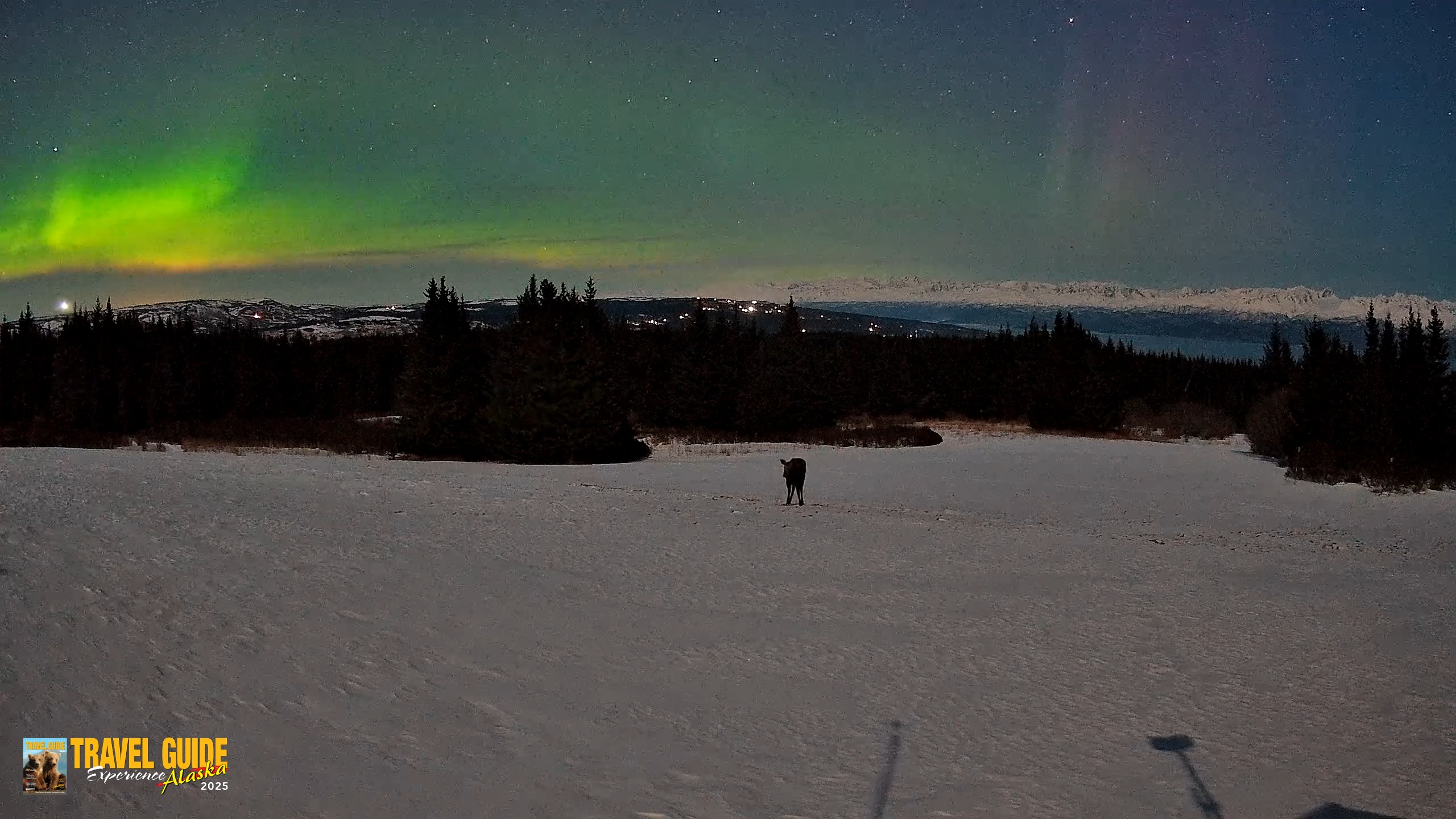 Snapshot of Homer Alaska Northern Lights Live Cam taken Mar 23, 2026, 10:17pm AKDT