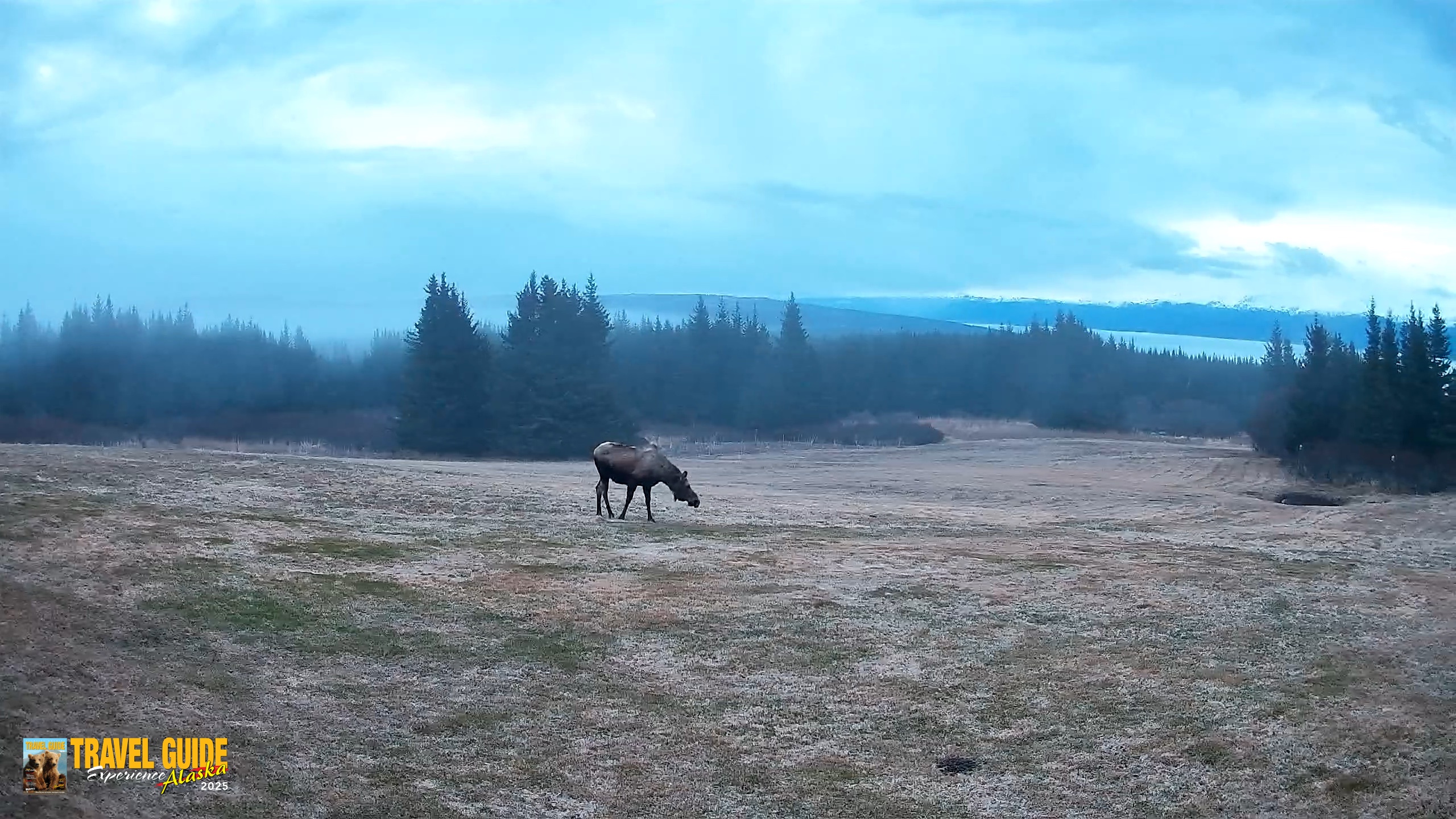Snapshot of Homer Alaska Northern Lights Live Cam taken May 14, 2026, 4:54am AKDT