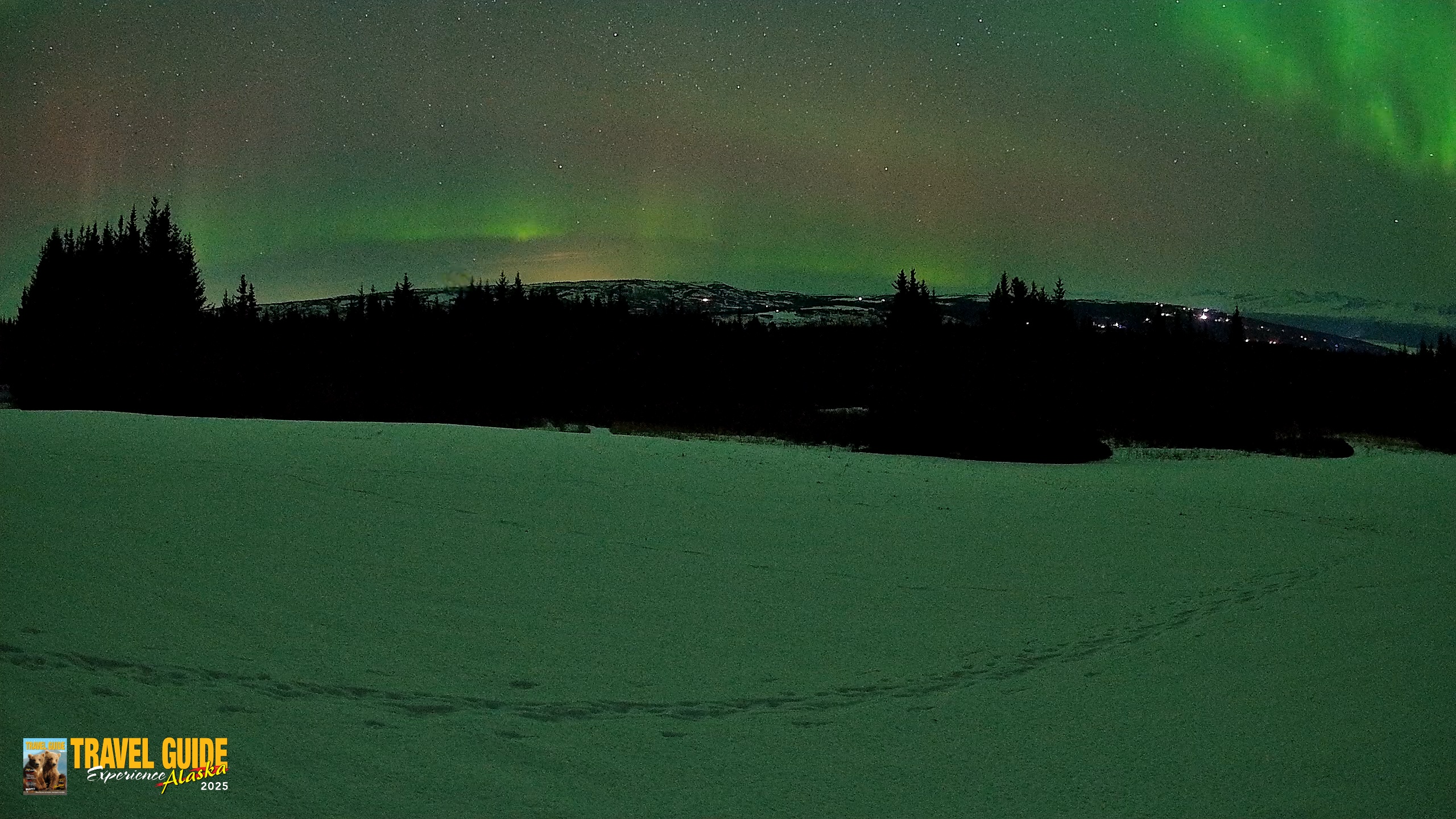 Snapshot of Homer Alaska Northern Lights Live Cam taken Feb 22, 2026, 1:53am AKST