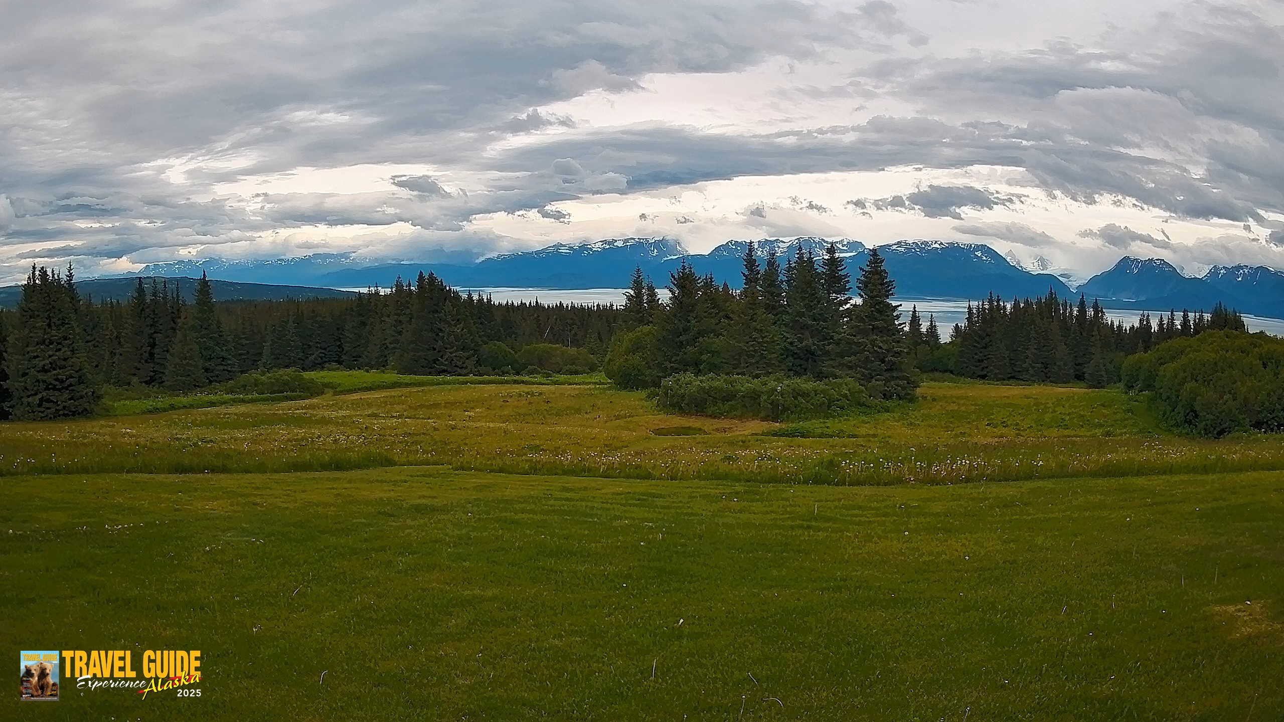 Snapshot of Homer Alaska Northern Lights Live Cam taken Jul 18, 2026, 4:07pm AKDT