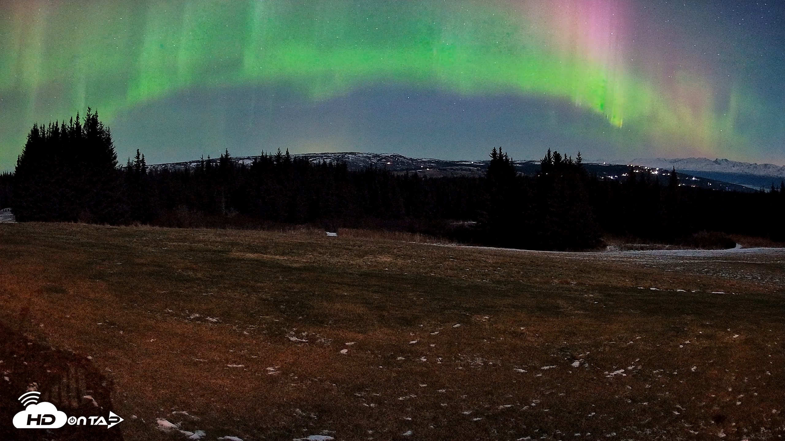 Snapshot of Homer Alaska Northern Lights Live Cam taken Dec 12, 2025, 7:43am AKST