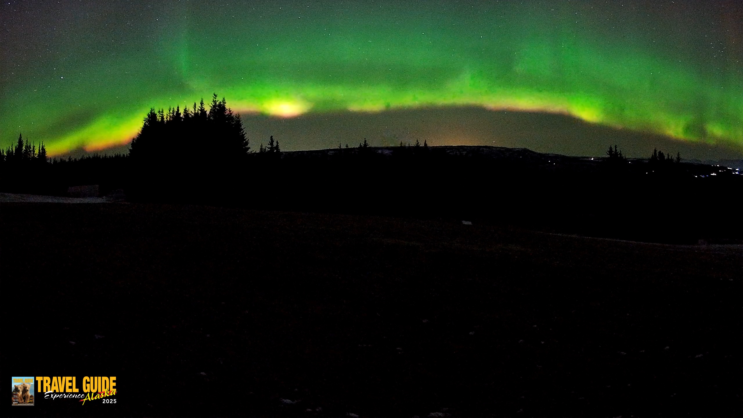 Snapshot of Homer Alaska Northern Lights Live Cam taken Dec 22, 2025, 3:56am AKST