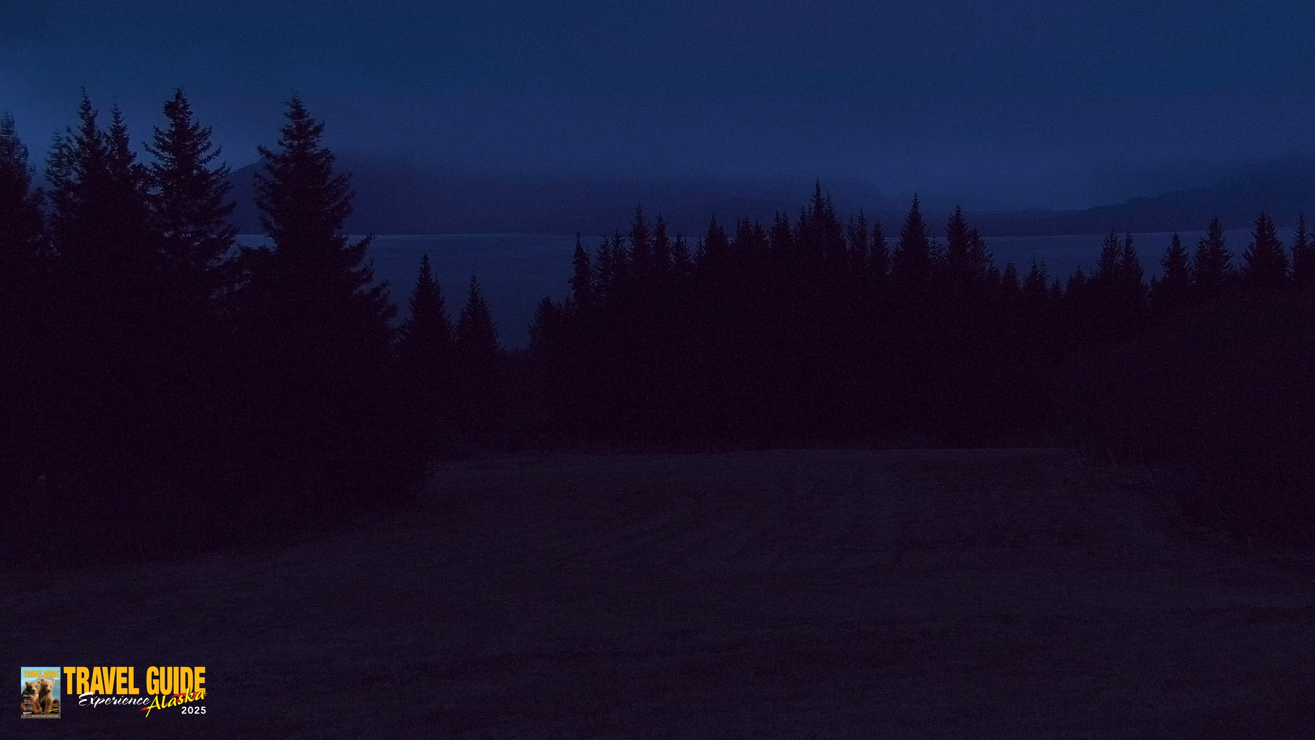Snapshot of Homer Alaska Northern Lights Live Cam taken May 19, 2026, 4:42am AKDT