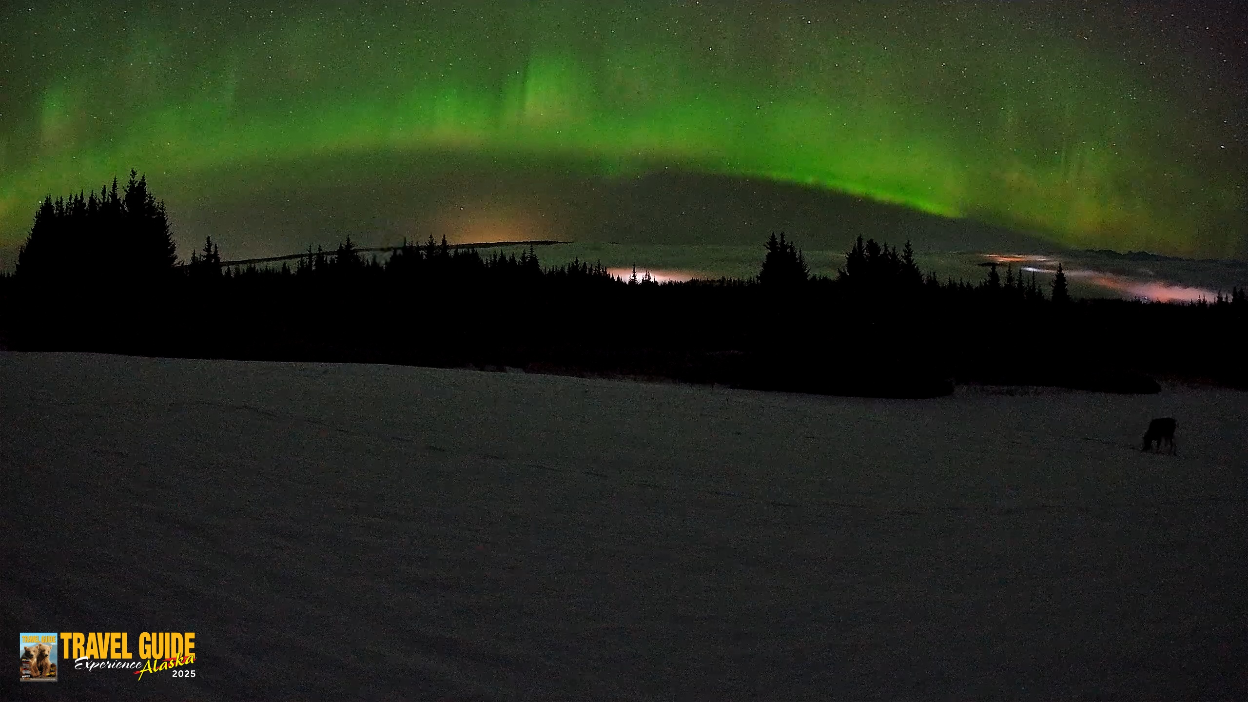 Snapshot of Homer Alaska Northern Lights Live Cam taken Feb 19, 2026, 3:51am AKST