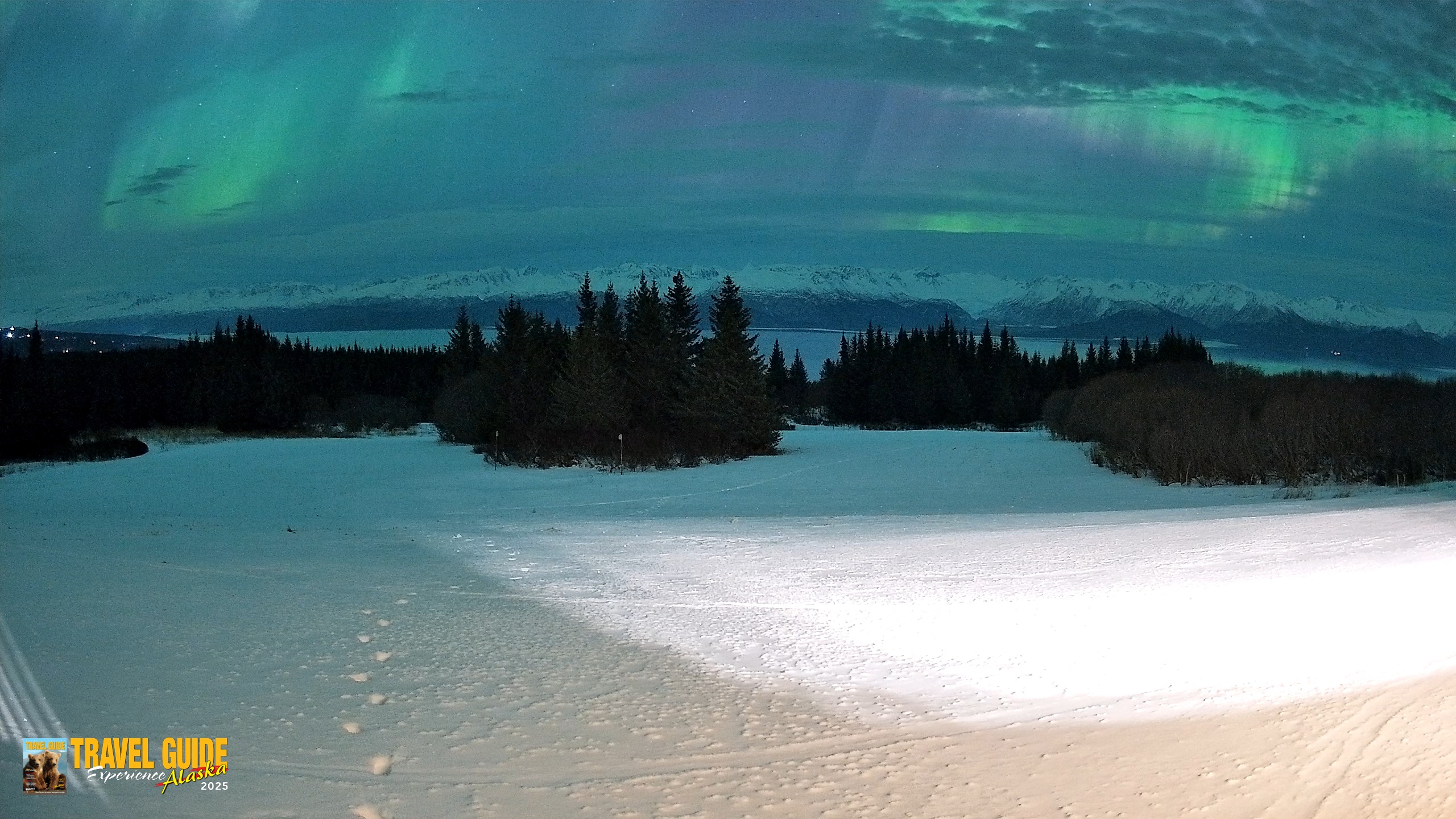 Snapshot of Homer Alaska Northern Lights Live Cam taken Jan 20, 2026, 2:29am AKST