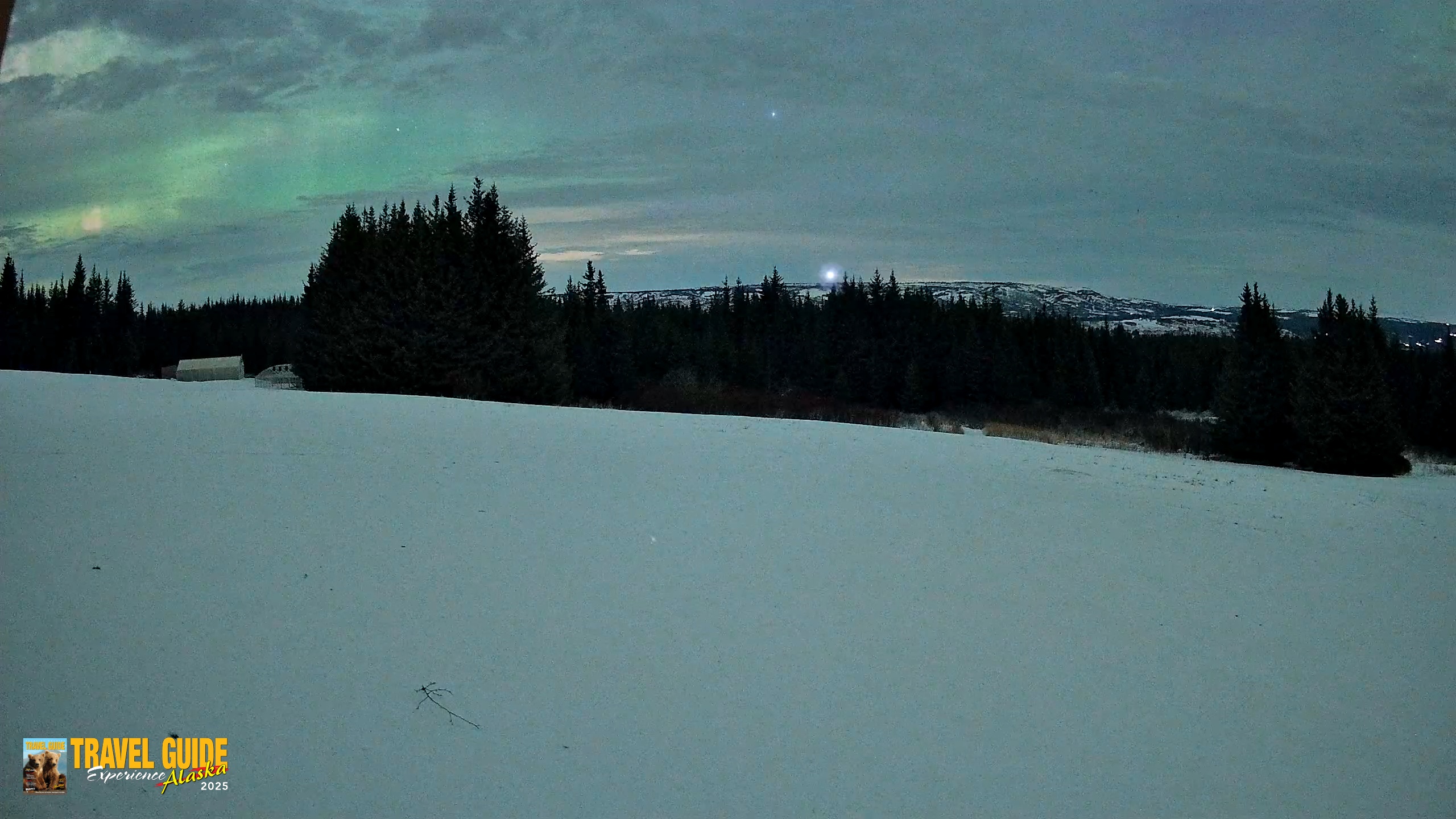 Snapshot of Homer Alaska Northern Lights Live Cam taken Jan 20, 2026, 1:19am AKST