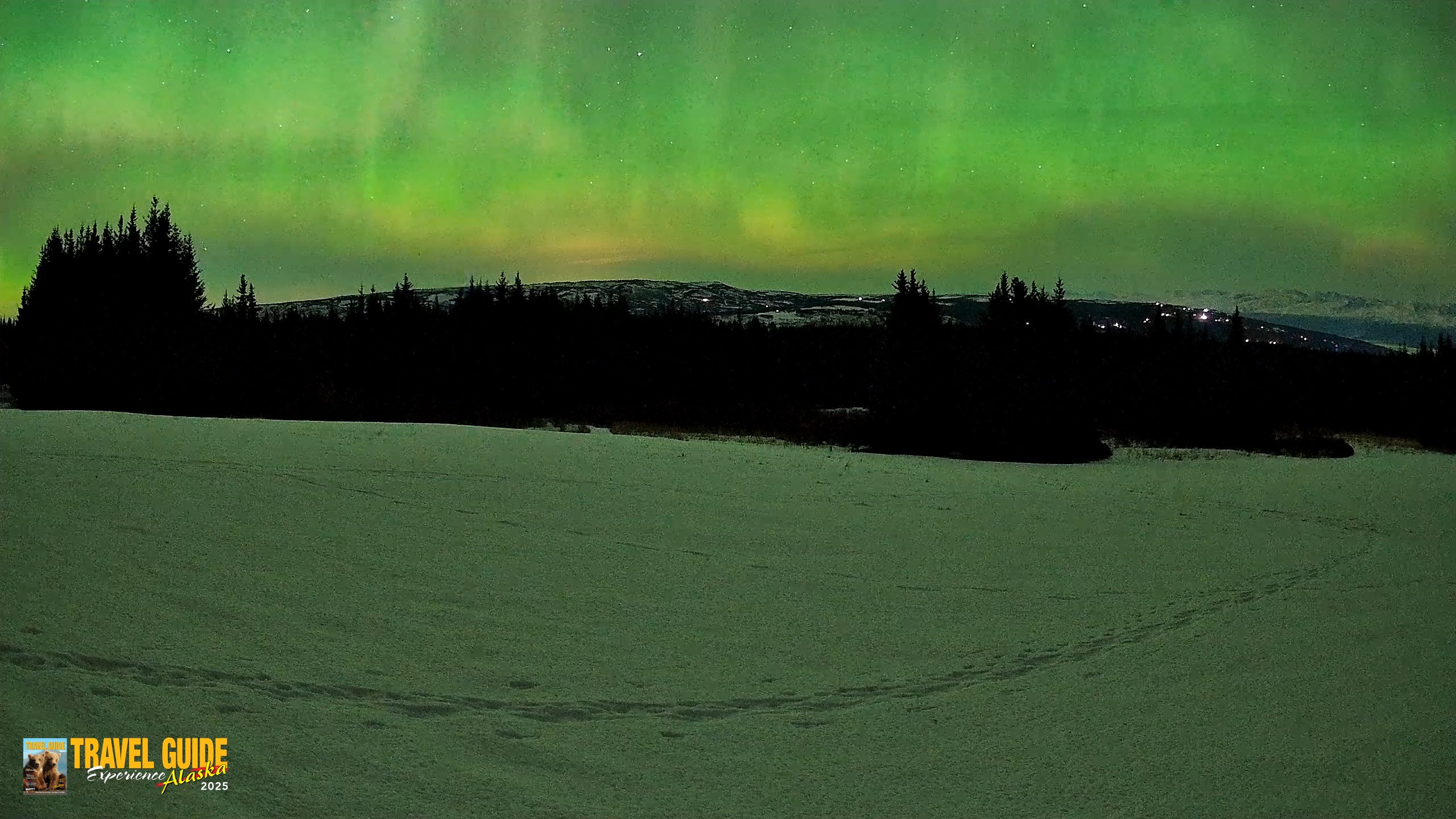 Snapshot of Homer Alaska Northern Lights Live Cam taken Feb 22, 2026, 12:12am AKST