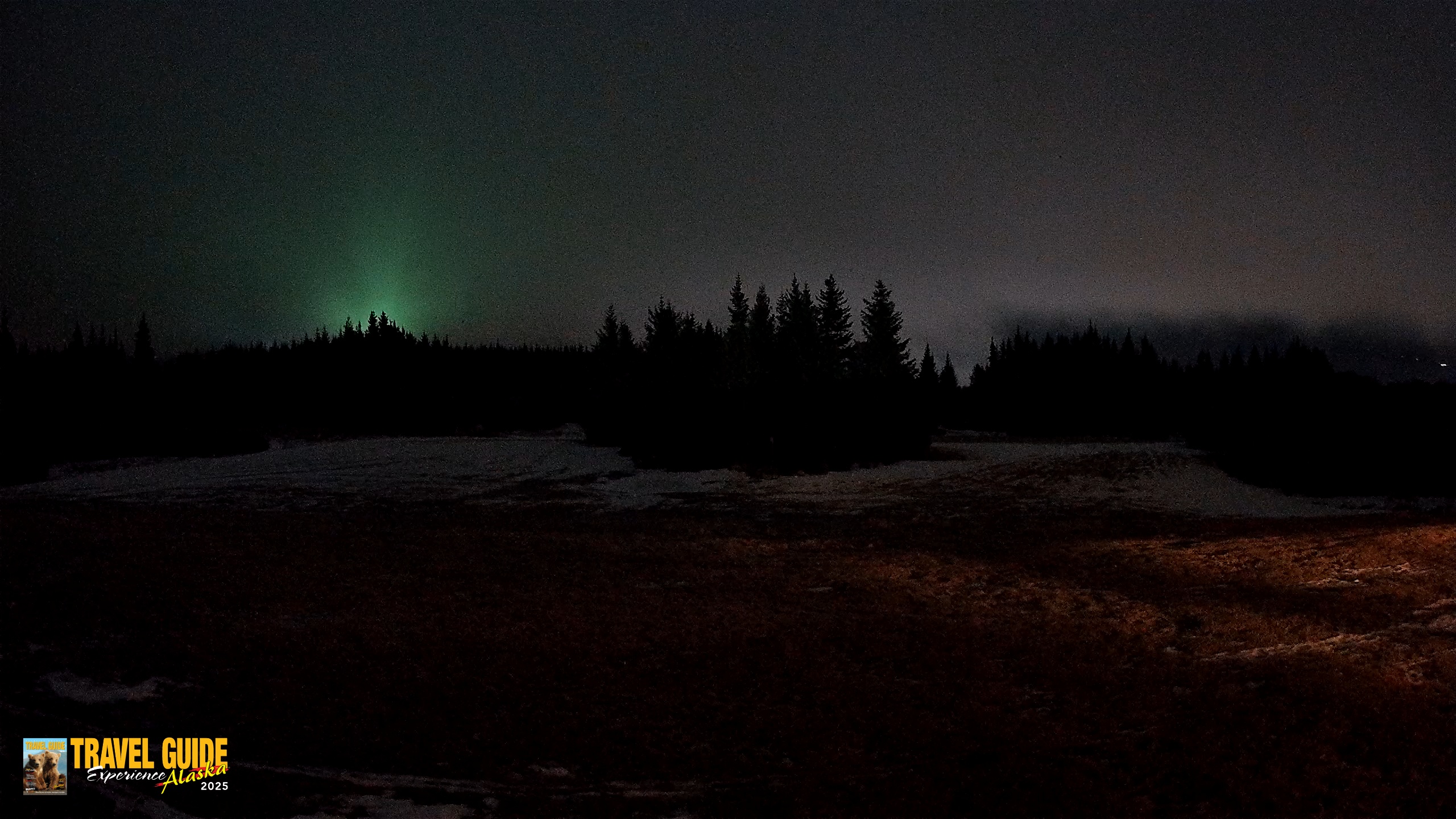 Snapshot of Homer Alaska Northern Lights Live Cam taken Feb 8, 2026, 9:53pm AKST