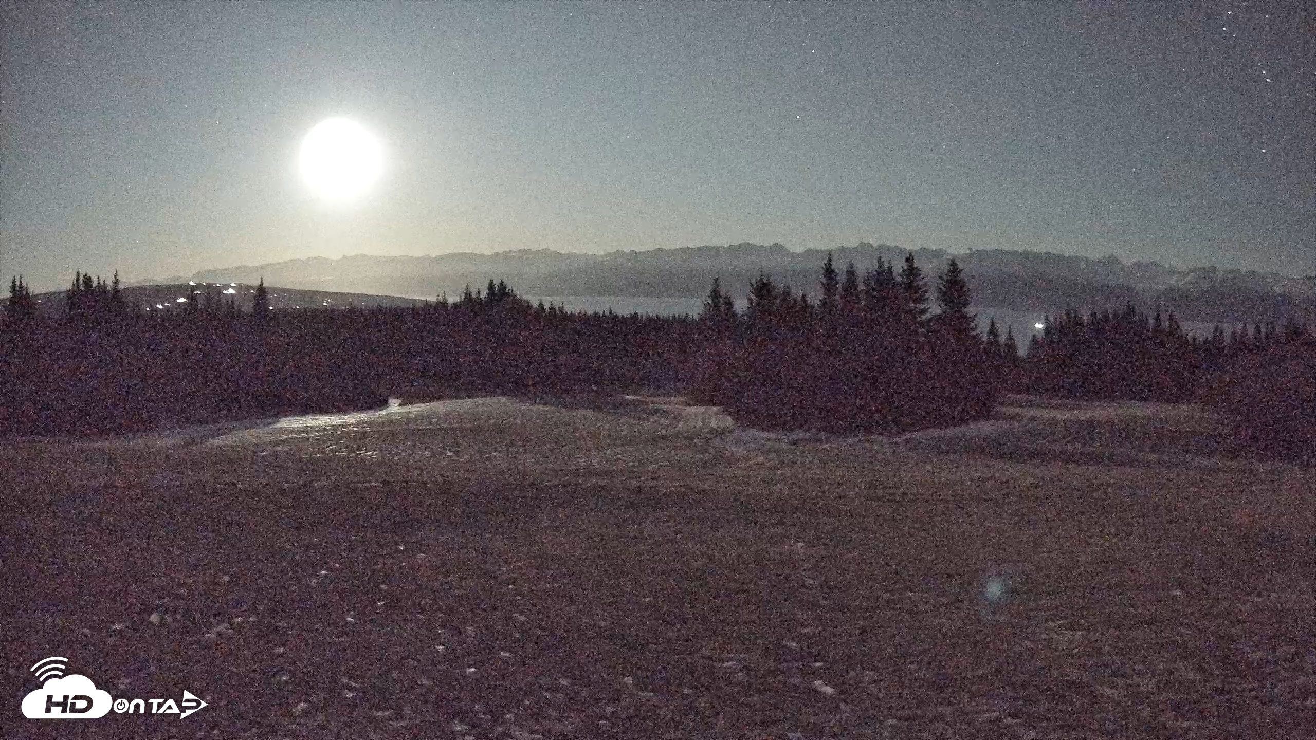 Snapshot of Homer Alaska Northern Lights Live Cam taken Dec 8, 2025, 10:24pm AKST