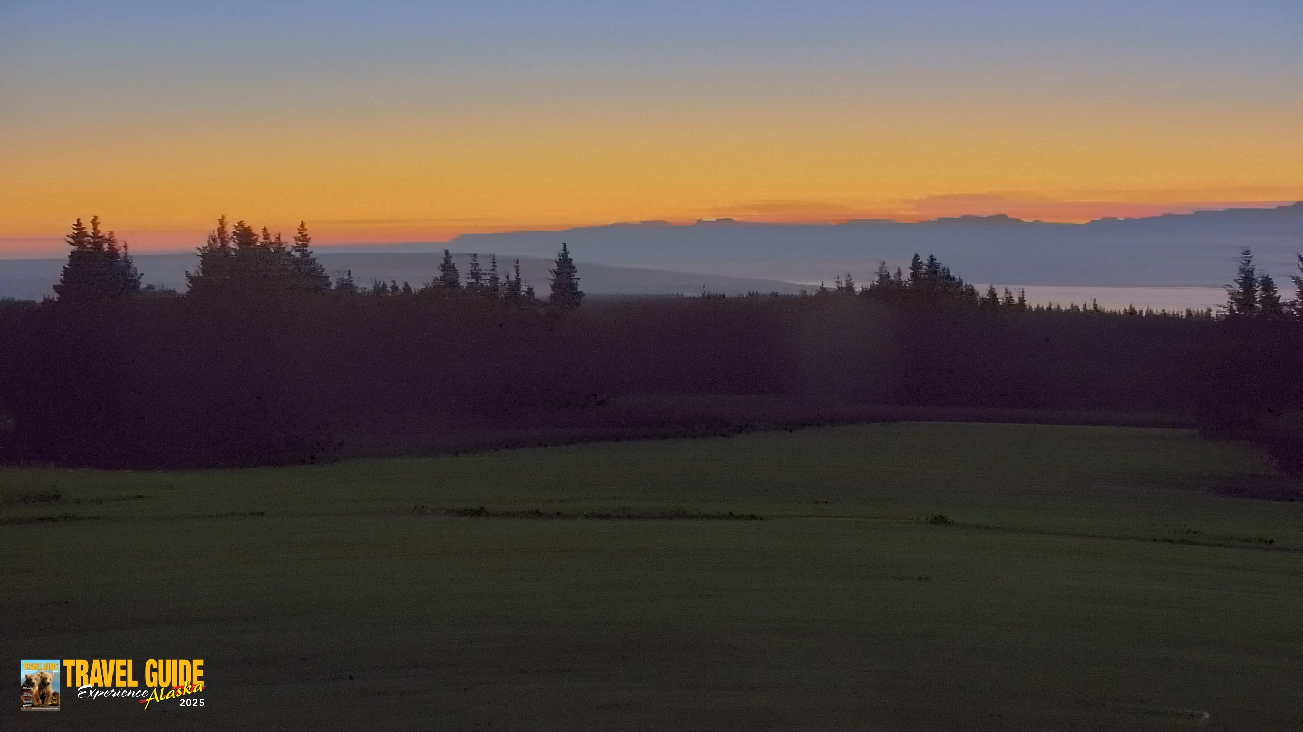 Snapshot of Homer Alaska Northern Lights Live Cam taken Sep 11, 2026, 6:51am AKDT