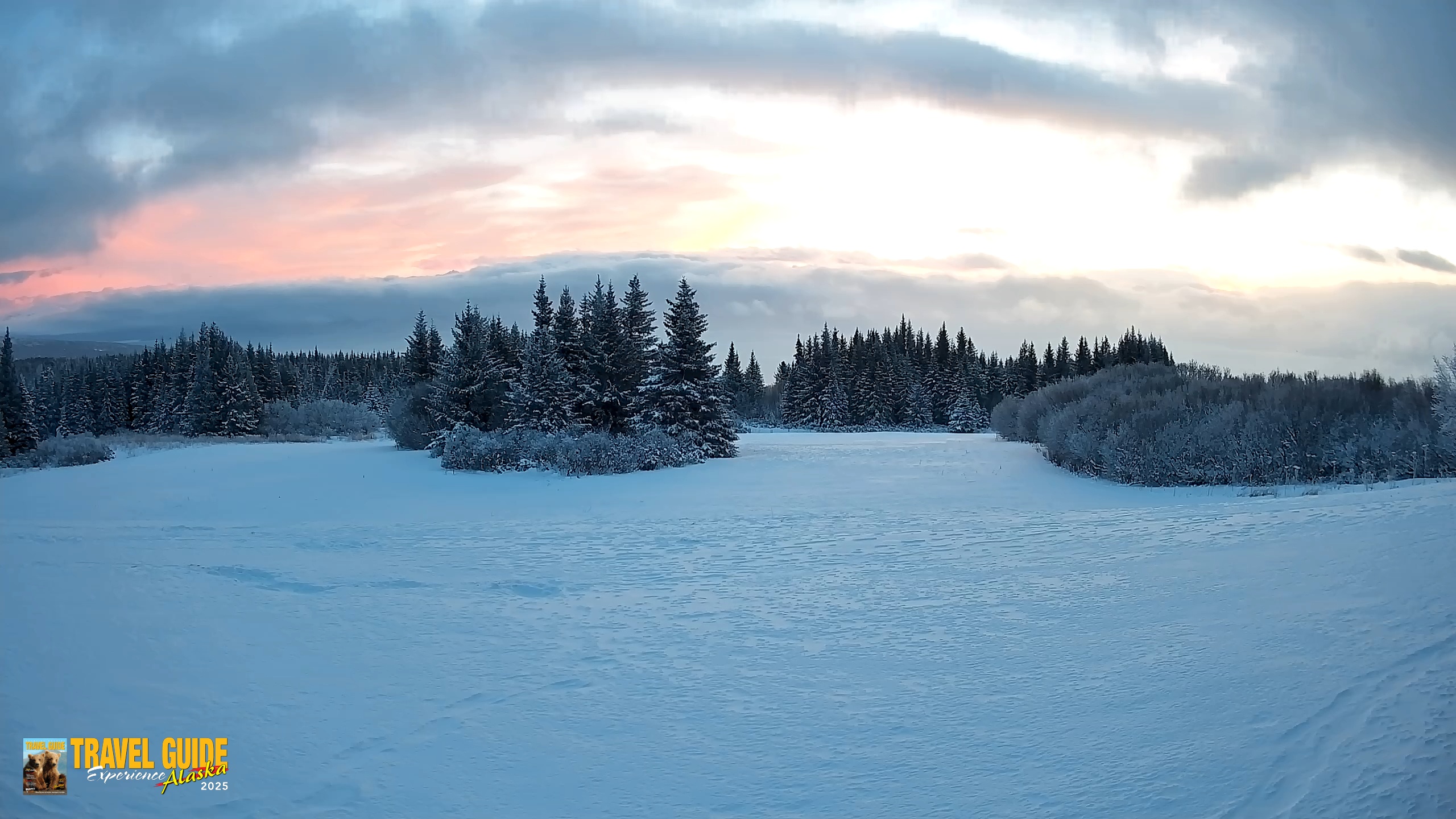 Snapshot of Homer Alaska Northern Lights Live Cam taken Jan 14, 2026, 9:53am AKST