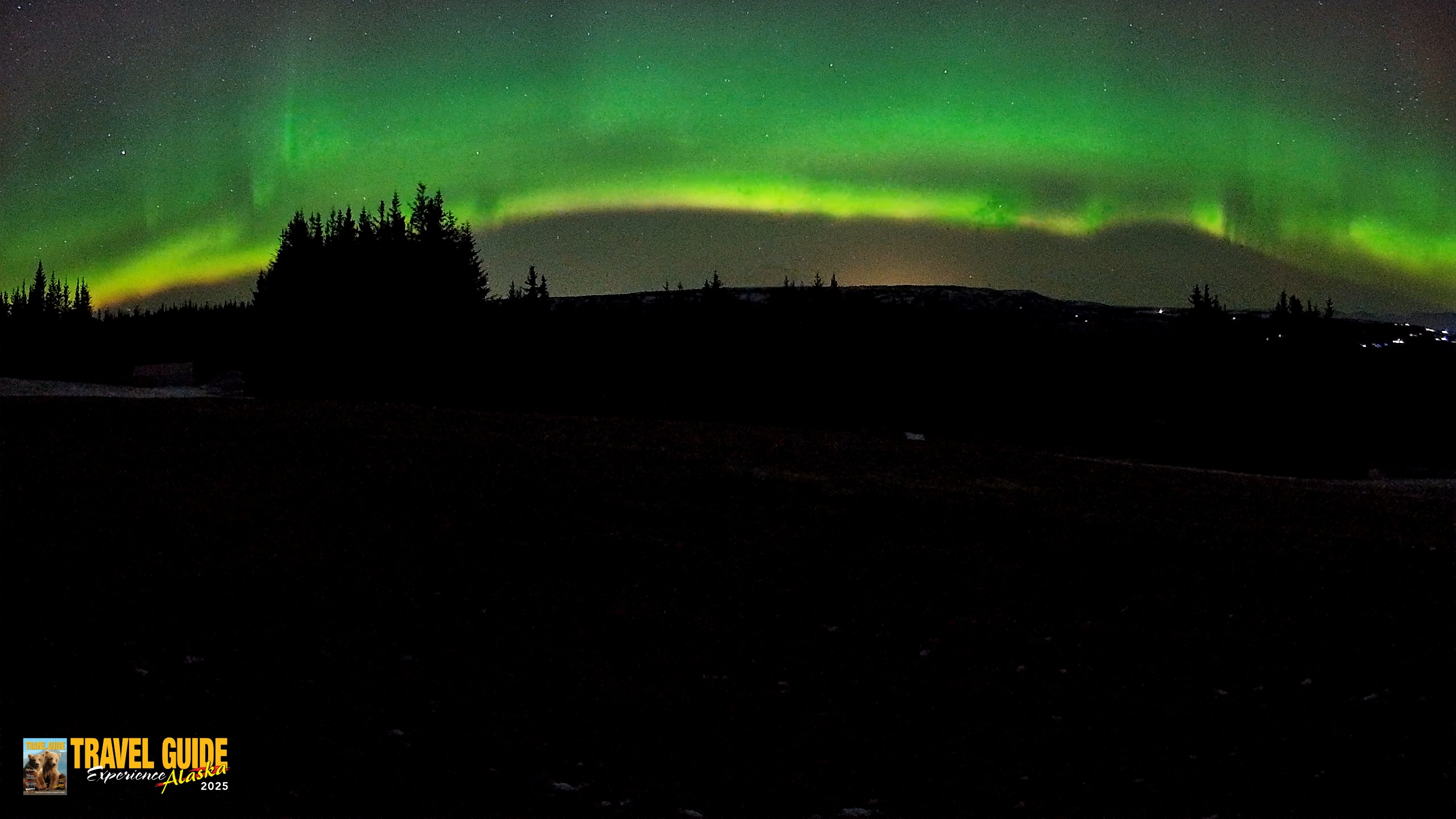 Snapshot of Homer Alaska Northern Lights Live Cam taken Dec 22, 2025, 3:46am AKST