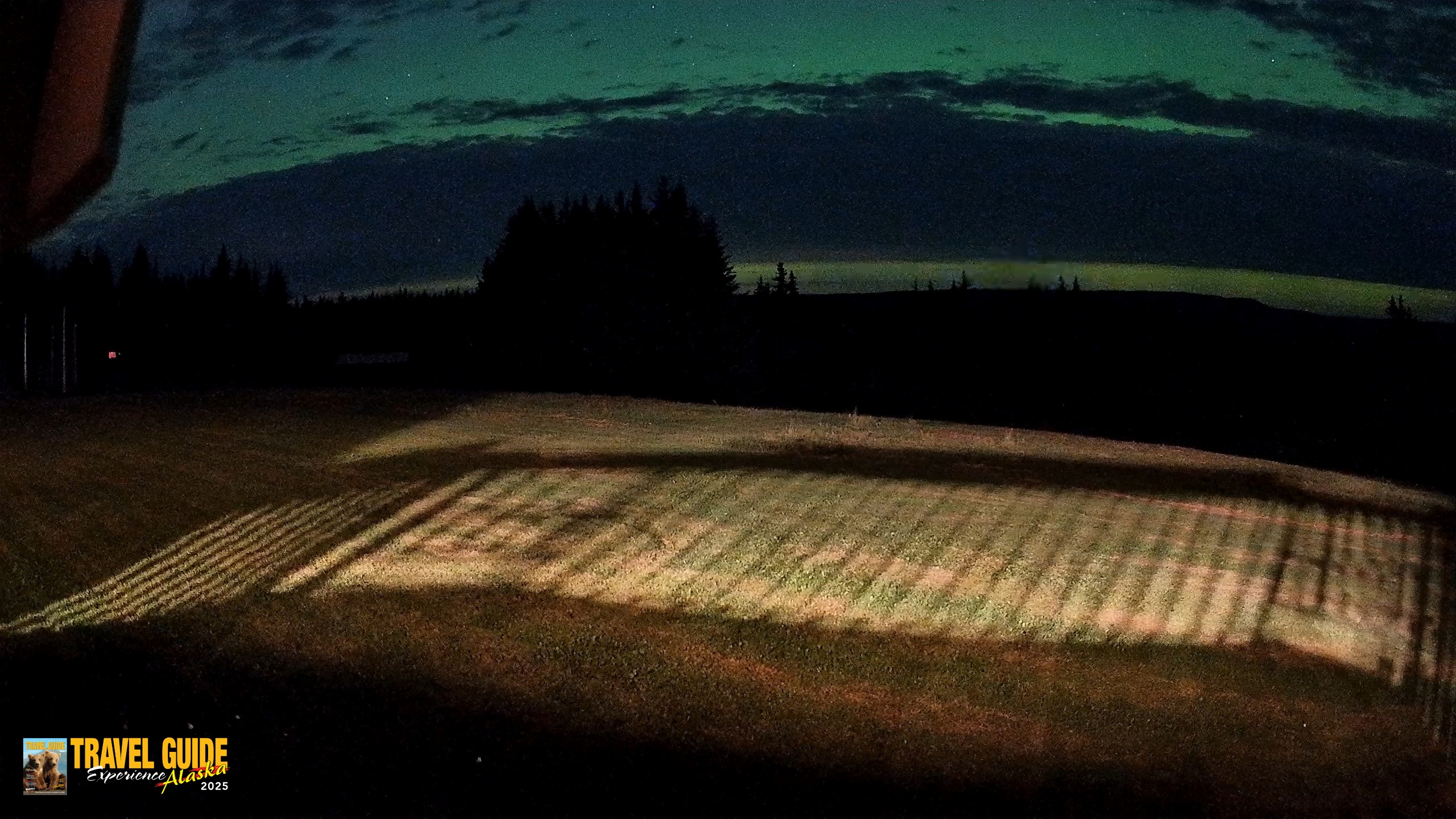 Snapshot of Homer Alaska Northern Lights Live Cam taken Aug 19, 2026, 1:29am AKDT