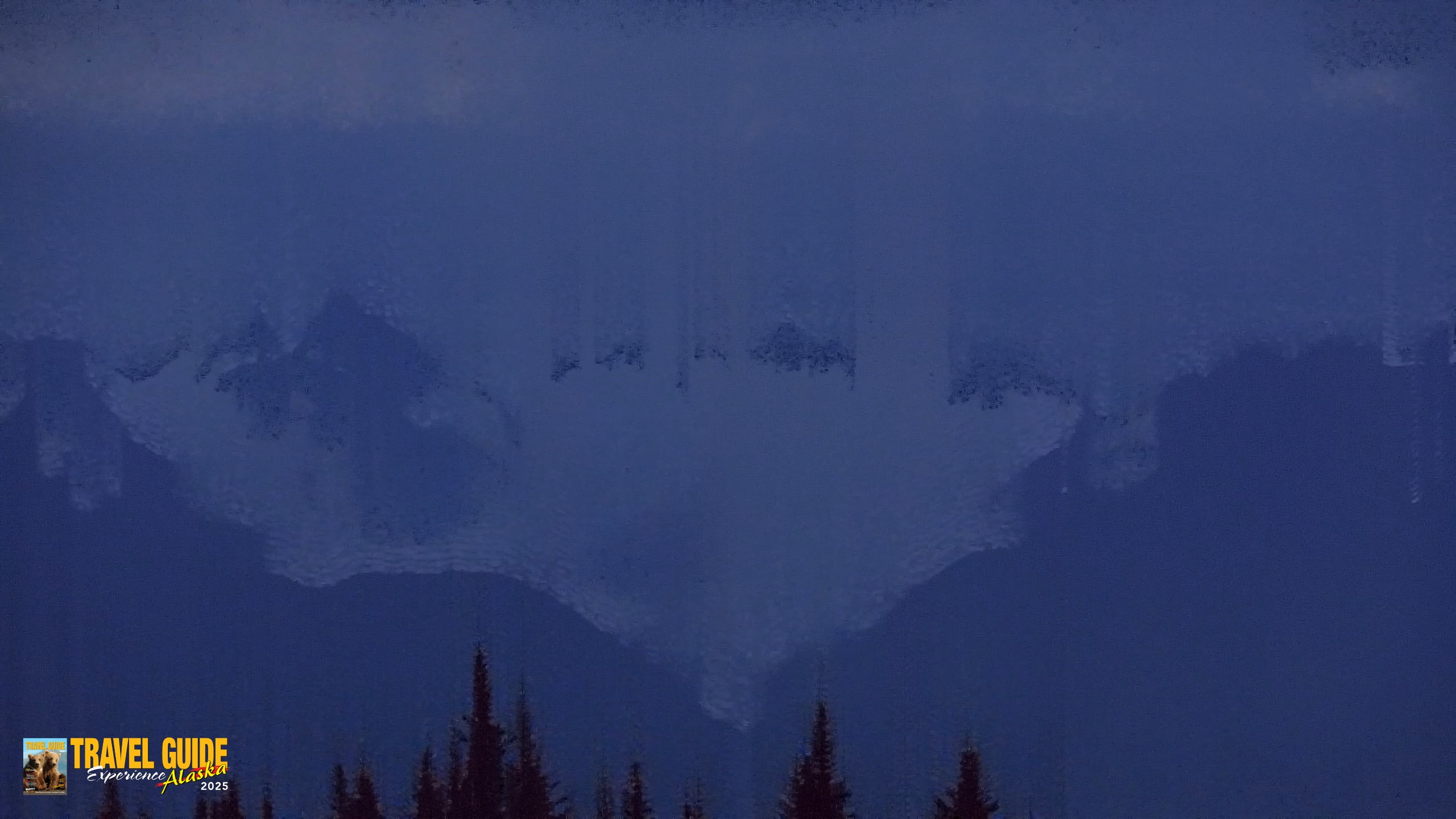 Snapshot of Homer Alaska Northern Lights Live Cam taken Aug 17, 2026, 10:29pm AKDT