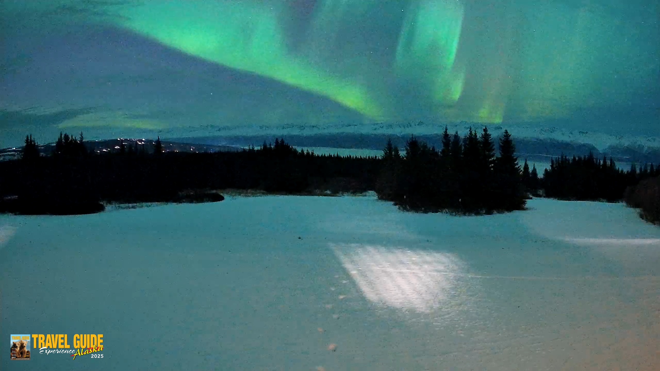 Snapshot of Homer Alaska Northern Lights Live Cam taken Jan 20, 2026, 9:55pm AKST