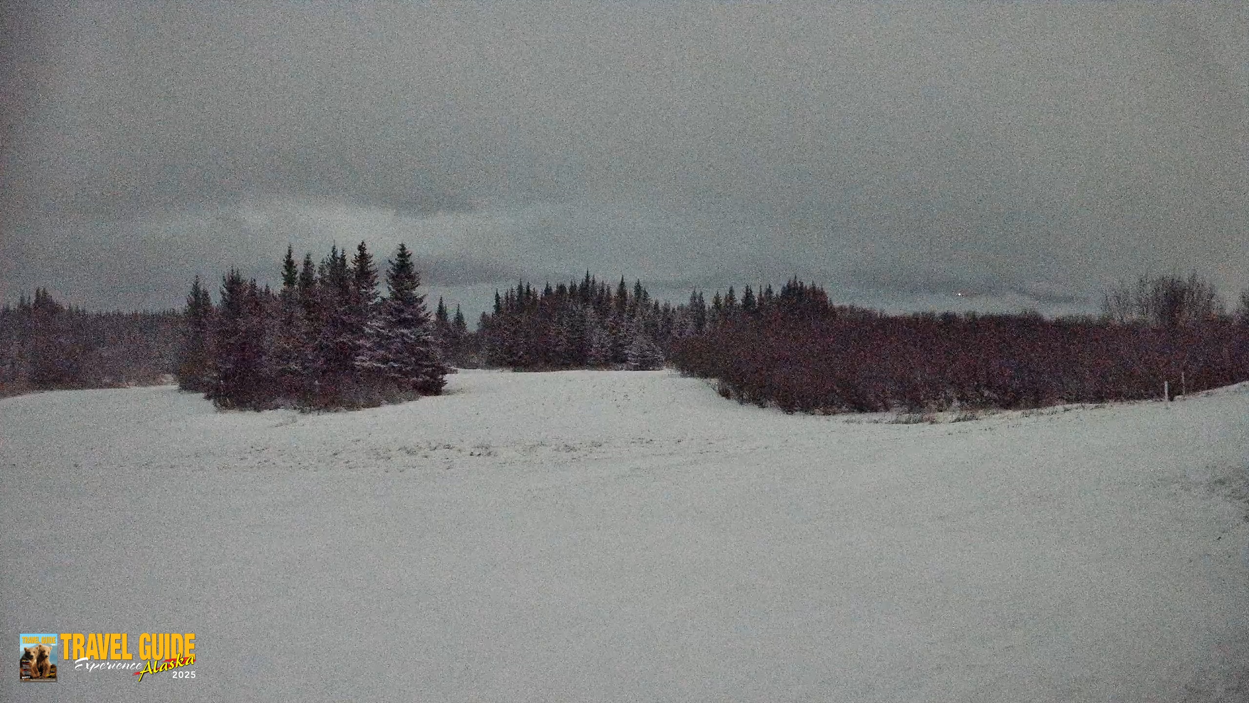 Snapshot of Homer Alaska Northern Lights Live Cam taken Jan 5, 2026, 12:09am AKST