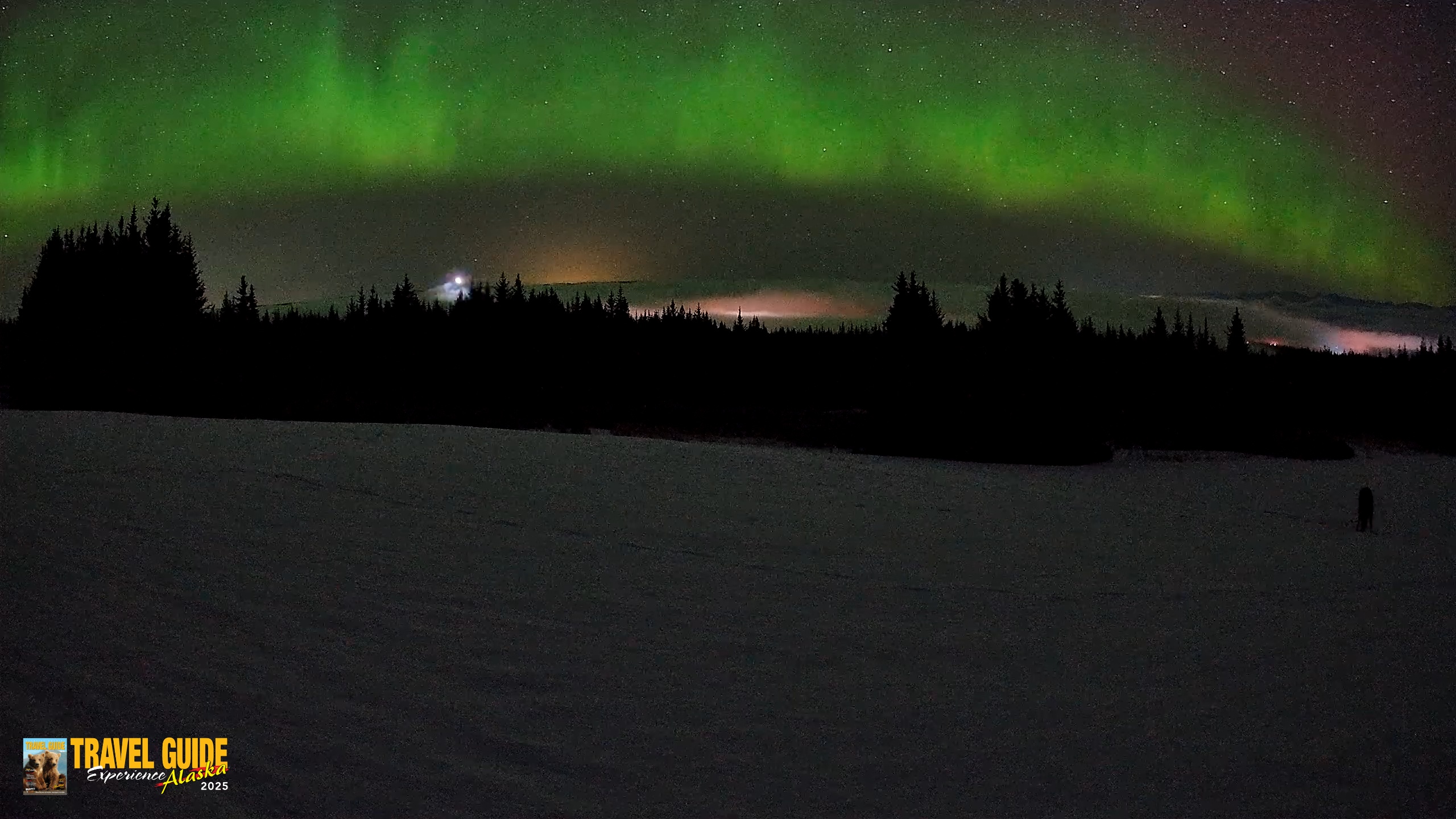 Snapshot of Homer Alaska Northern Lights Live Cam taken Feb 19, 2026, 3:35am AKST