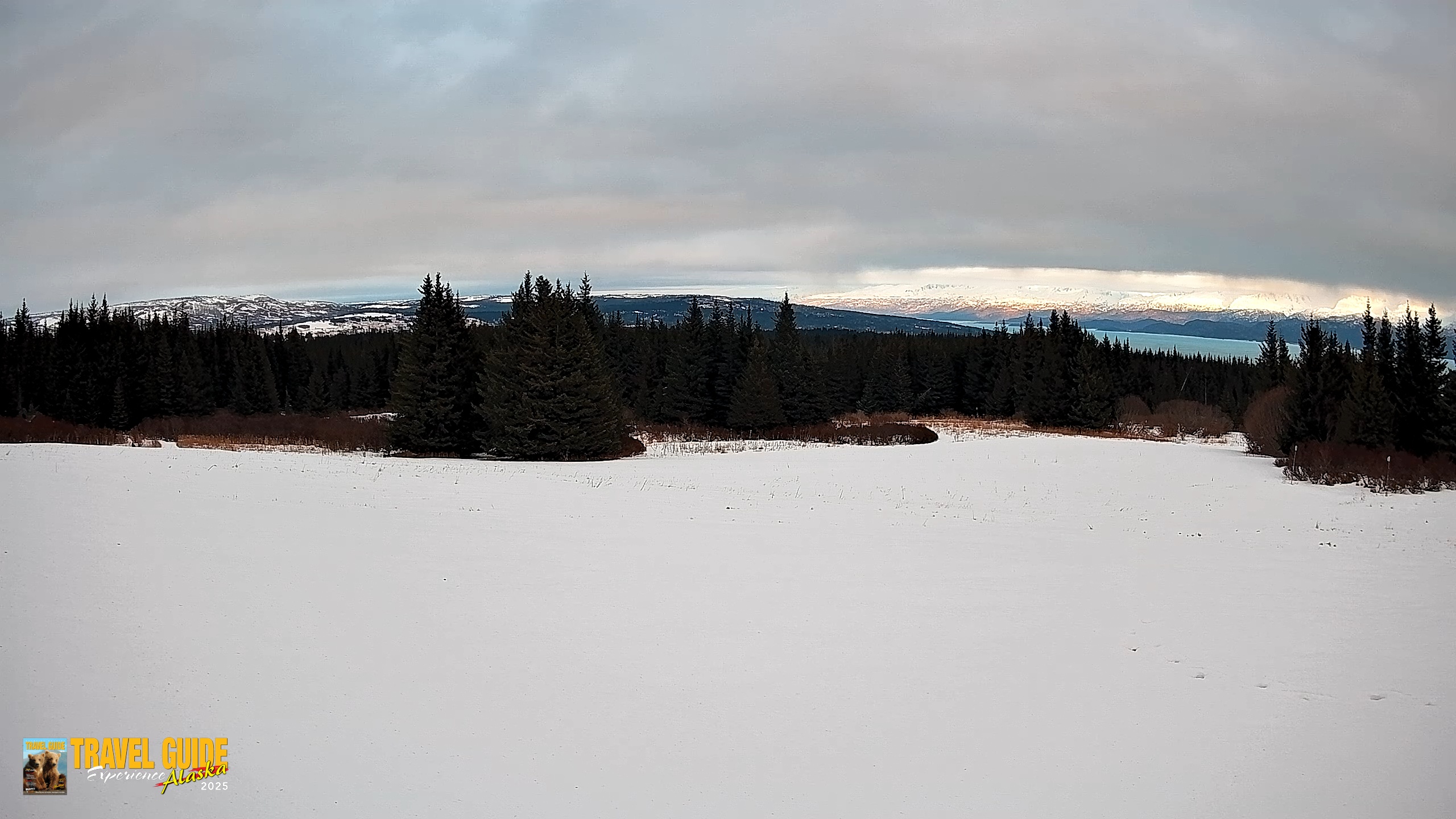 Snapshot of Homer Alaska Northern Lights Live Cam taken Feb 17, 2026, 5:10pm AKST