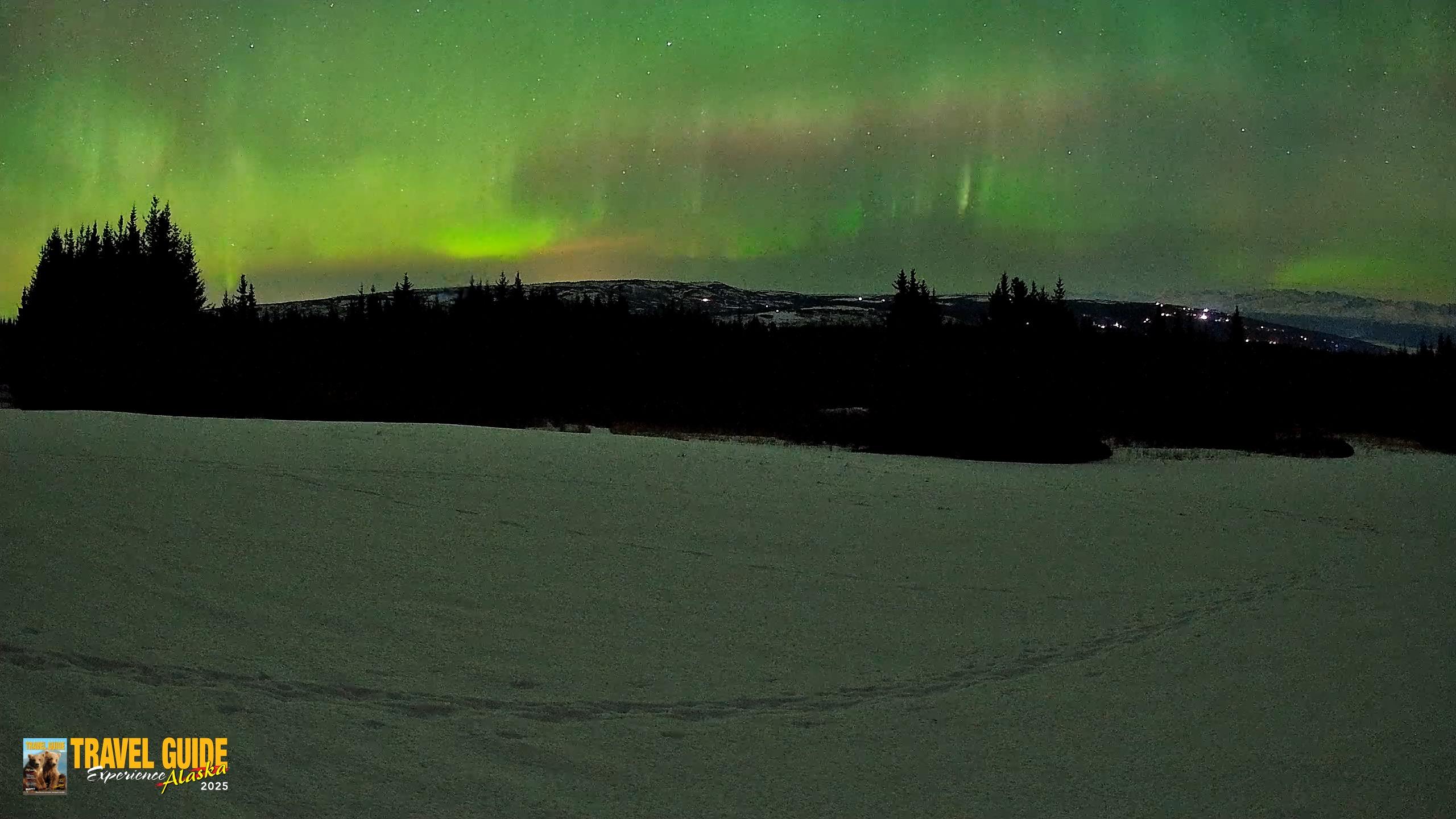 Snapshot of Homer Alaska Northern Lights Live Cam taken Feb 22, 2026, 12:21am AKST