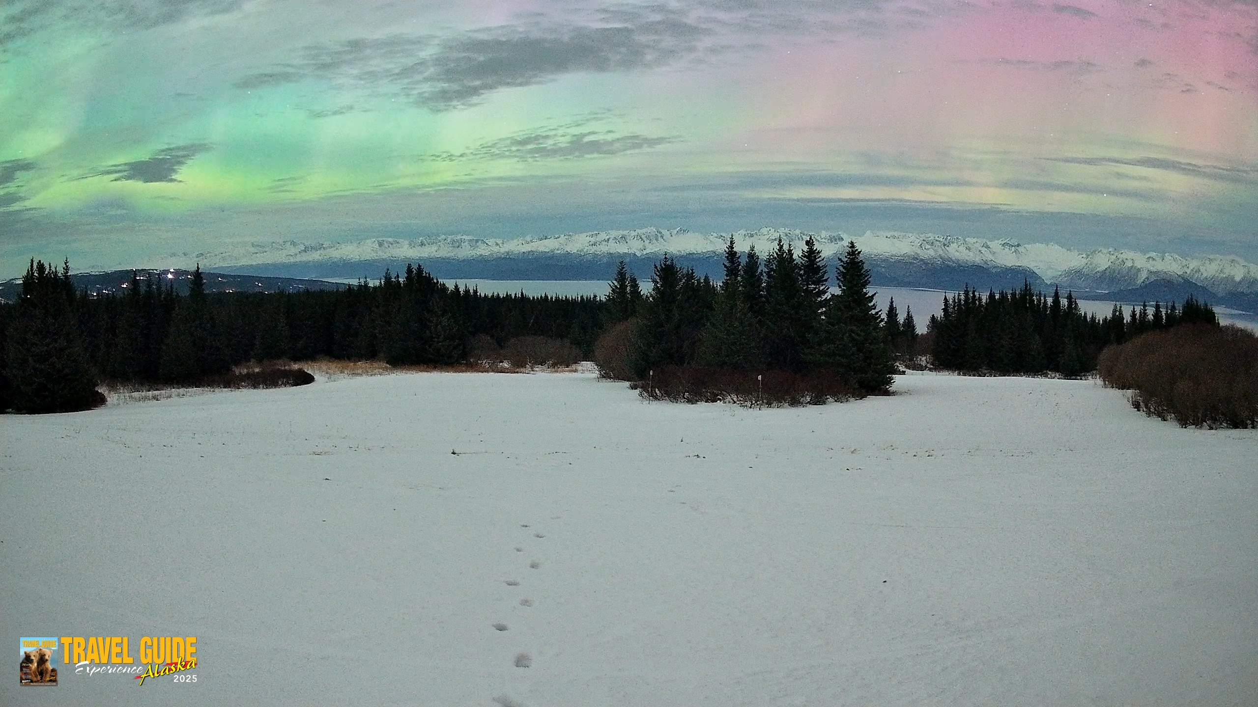 Snapshot of Homer Alaska Northern Lights Live Cam taken Jan 20, 2026, 2:48am AKST