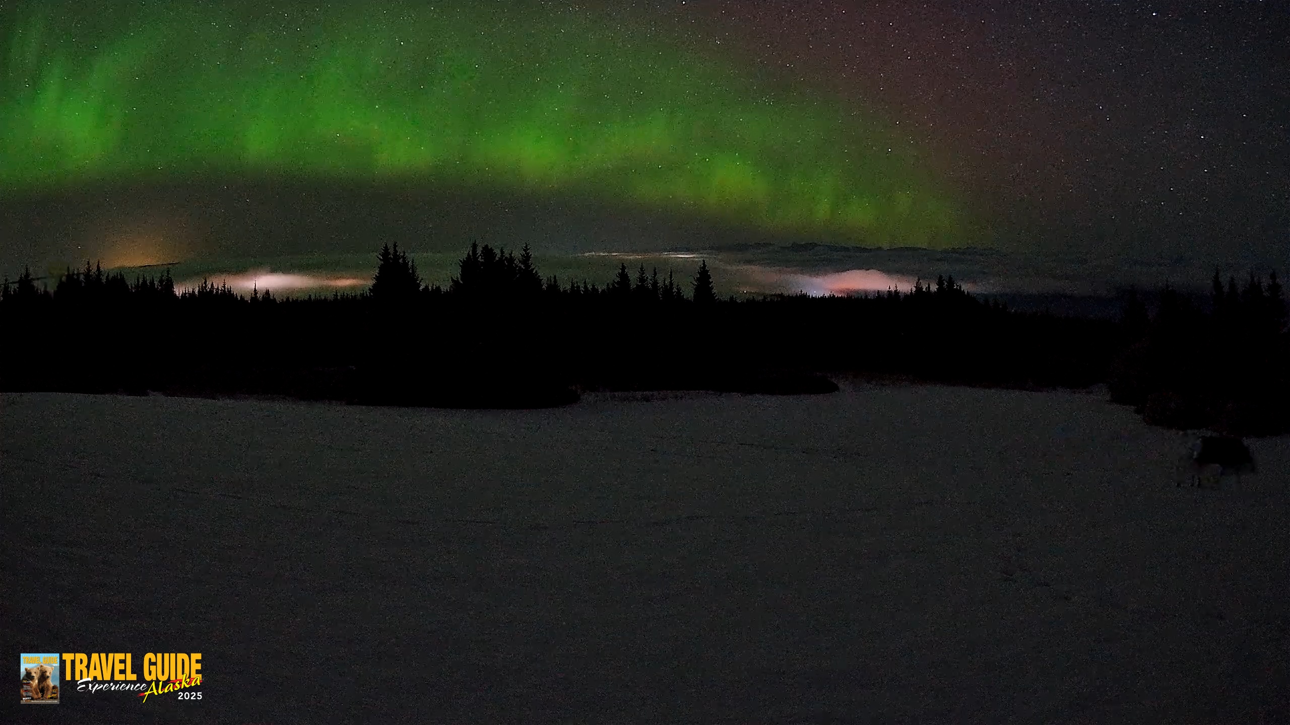 Snapshot of Homer Alaska Northern Lights Live Cam taken Feb 19, 2026, 3:38am AKST
