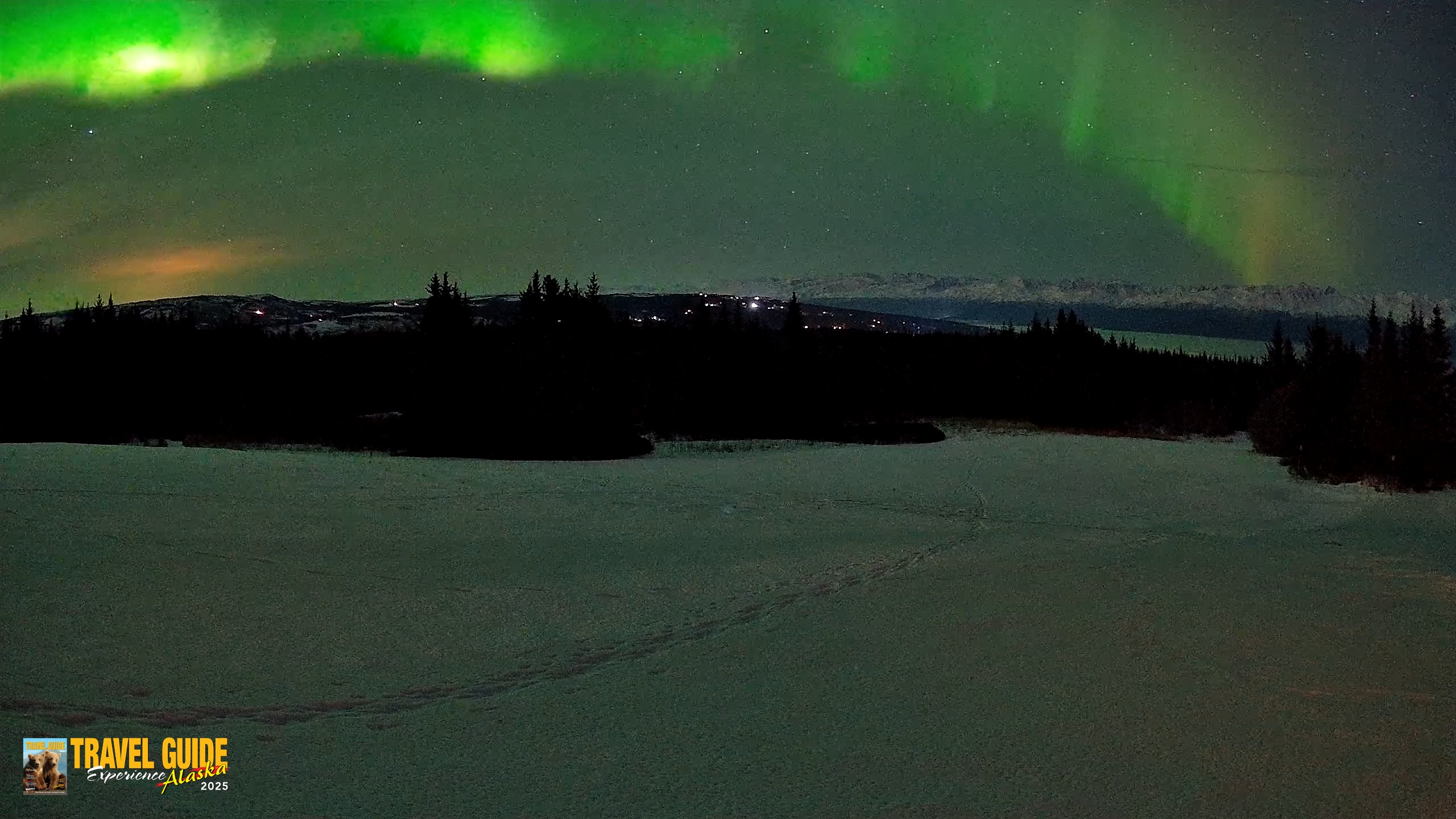 Snapshot of Homer Alaska Northern Lights Live Cam taken Feb 21, 2026, 11:29pm AKST