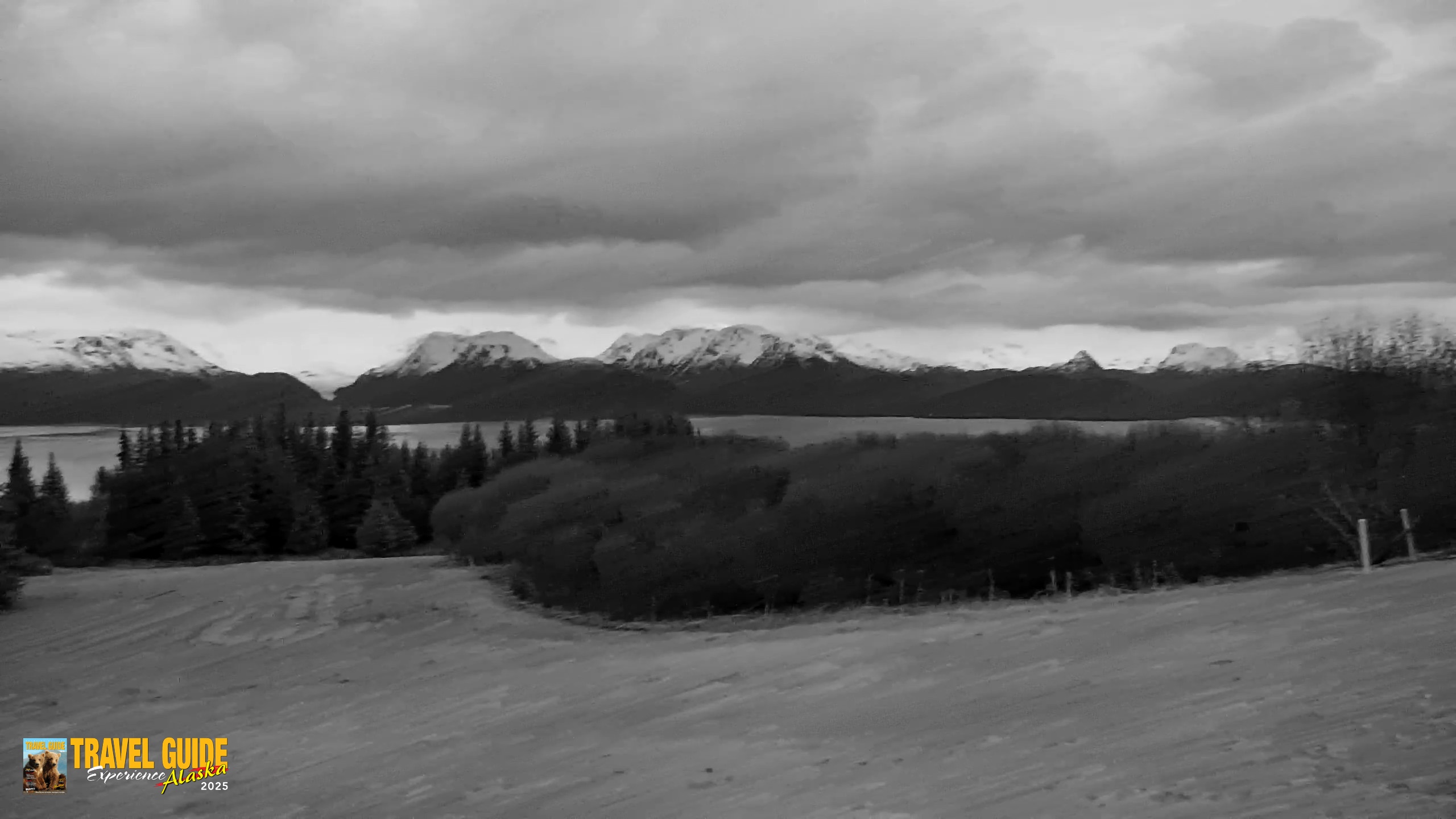 Snapshot of Homer Alaska Northern Lights Live Cam taken May 13, 2026, 11:09pm AKDT