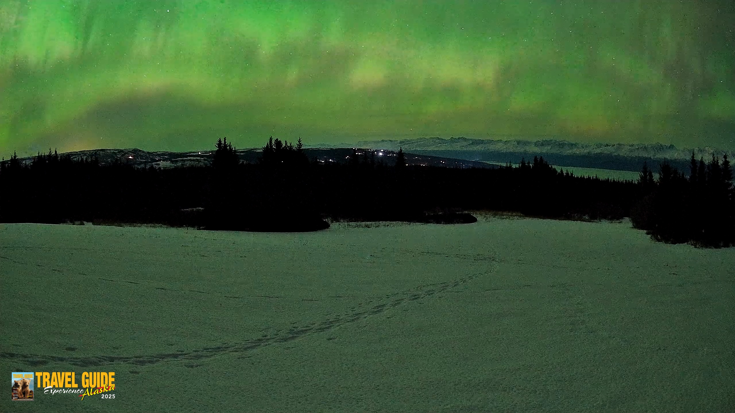 Snapshot of Homer Alaska Northern Lights Live Cam taken Feb 22, 2026, 12:48am AKST