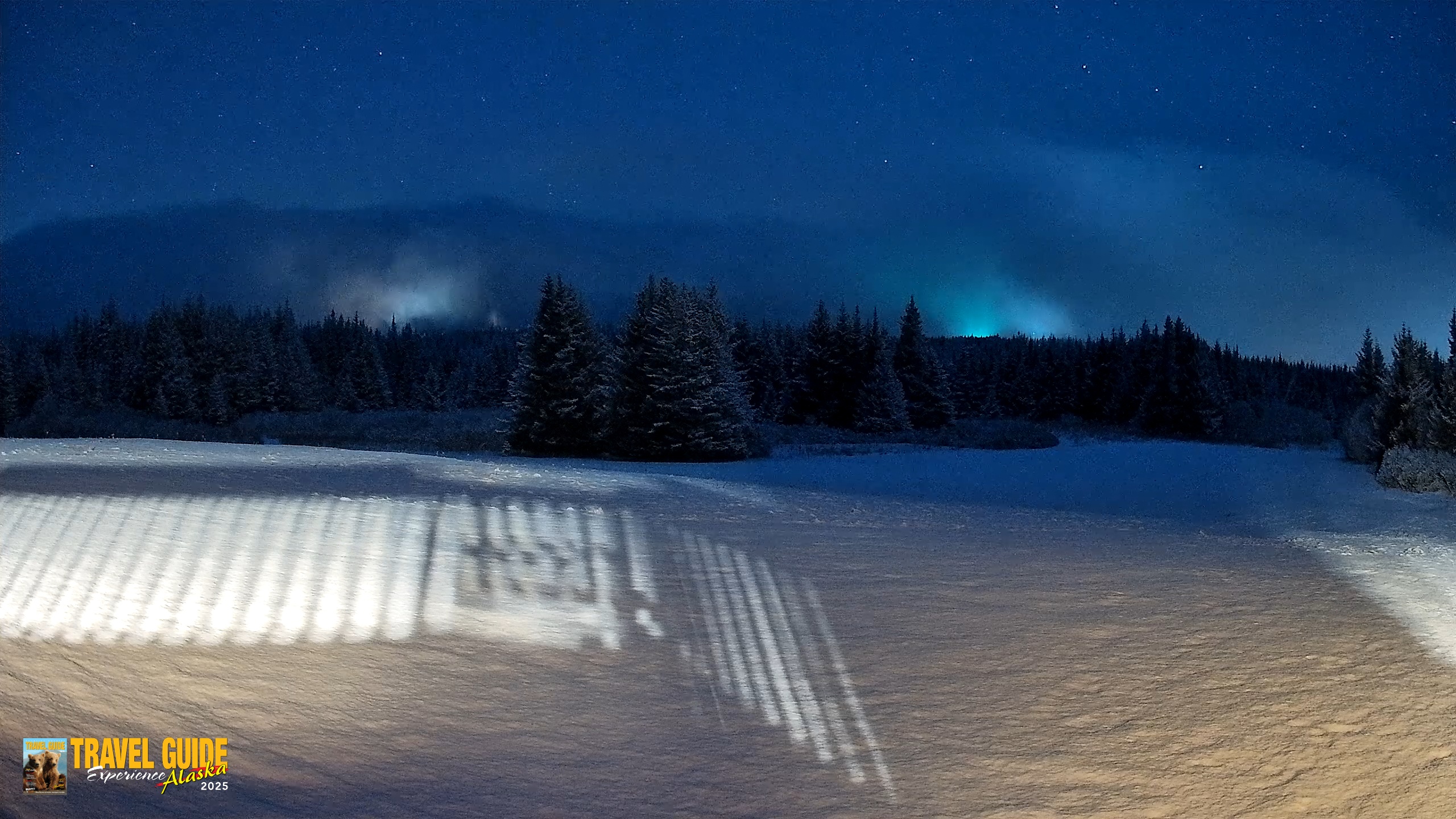 Snapshot of Homer Alaska Northern Lights Live Cam taken Feb 10, 2026, 7:45pm AKST