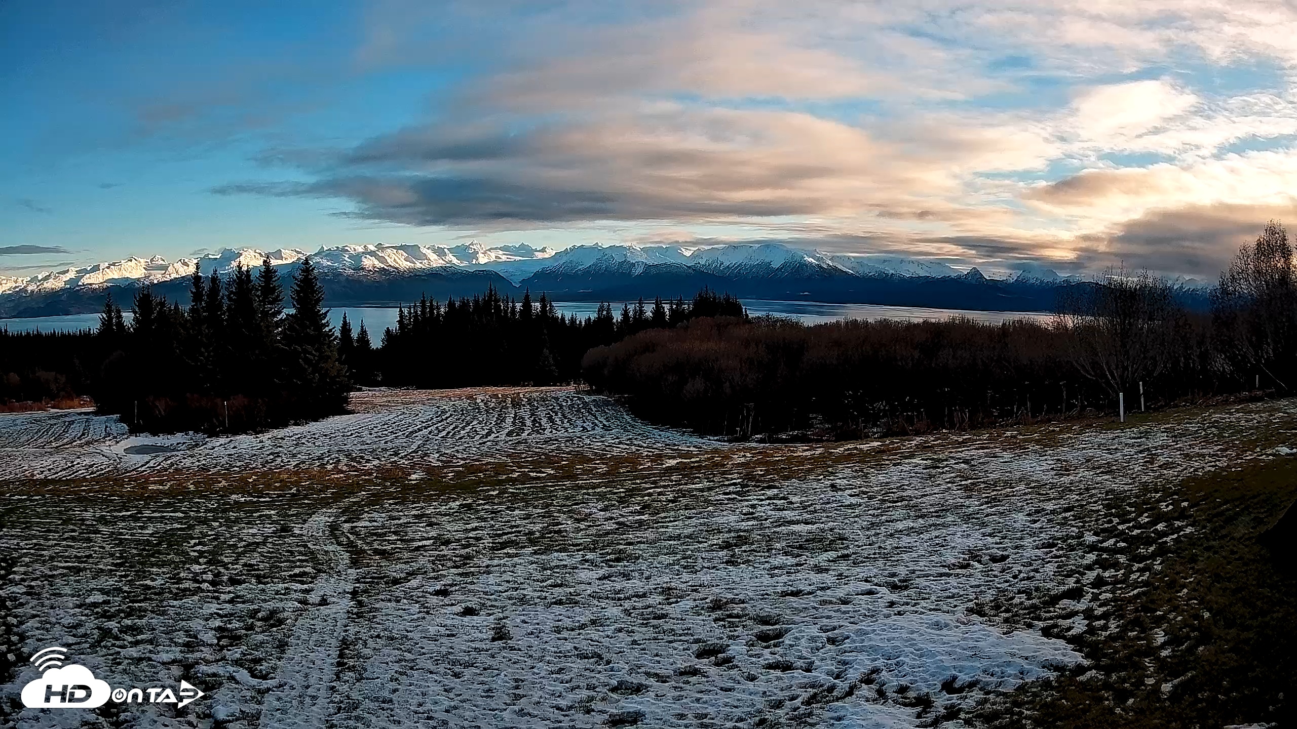 Snapshot of Homer Alaska Northern Lights Live Cam taken Dec 1, 2025, 1:58pm AKST