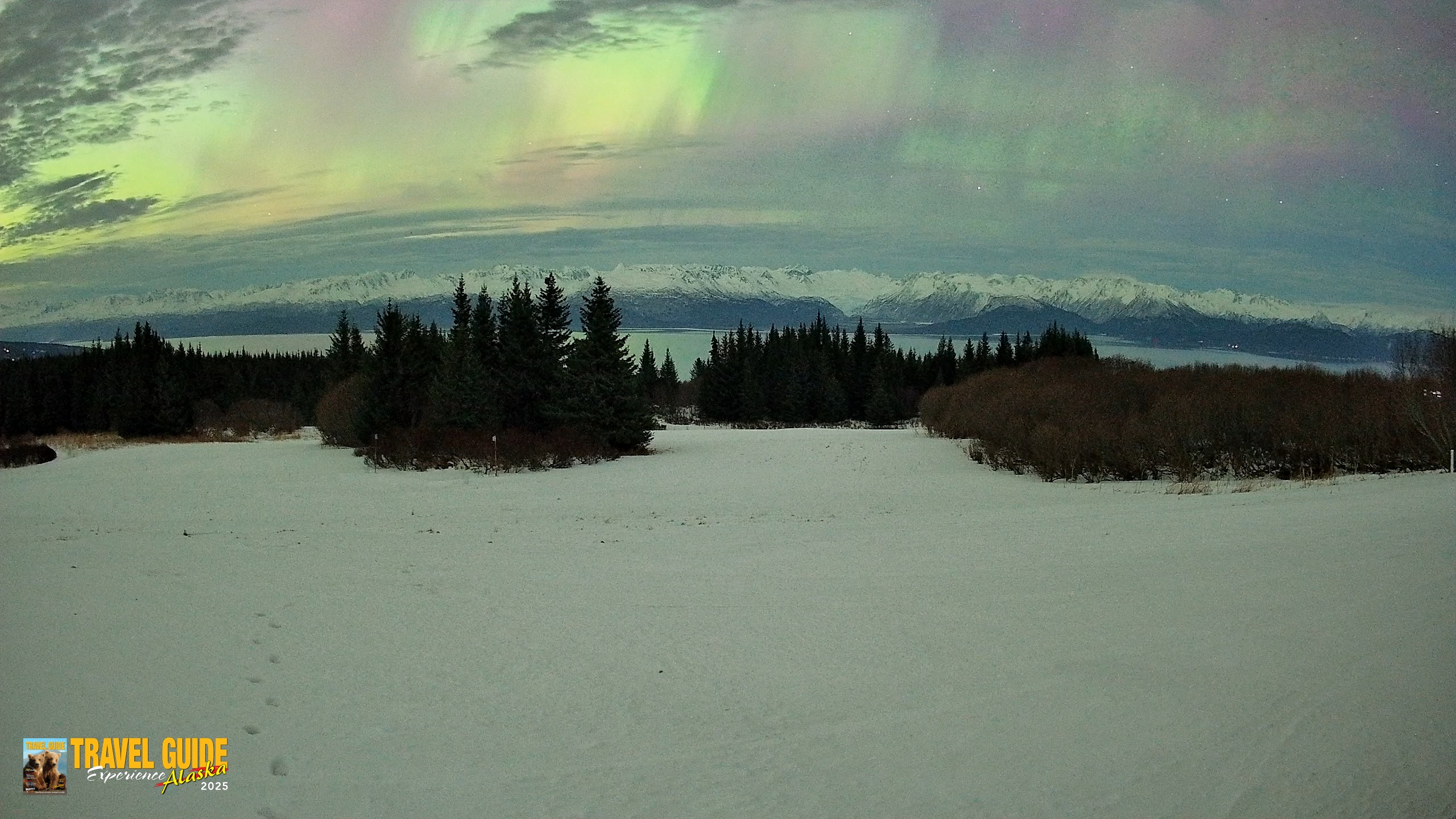 Snapshot of Homer Alaska Northern Lights Live Cam taken Jan 20, 2026, 2:51am AKST