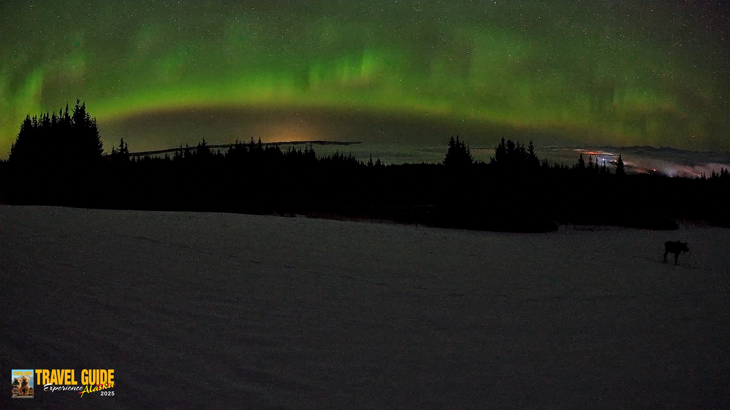 Snapshot of Homer Alaska Northern Lights Live Cam taken Feb 19, 2026, 4:04am AKST