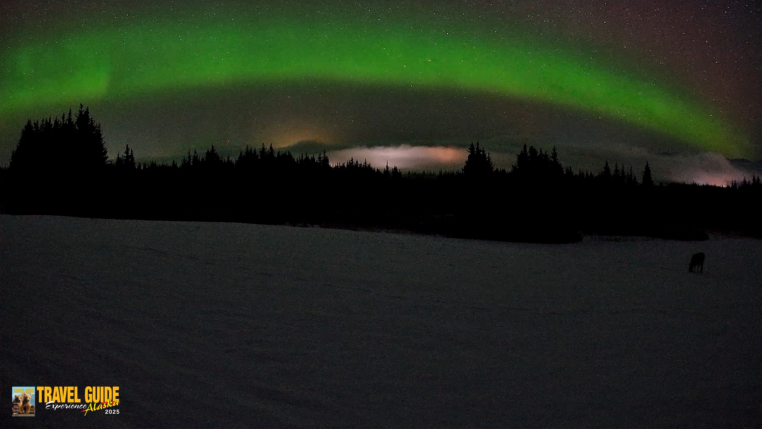 Snapshot of Homer Alaska Northern Lights Live Cam taken Feb 19, 2026, 3:25am AKST