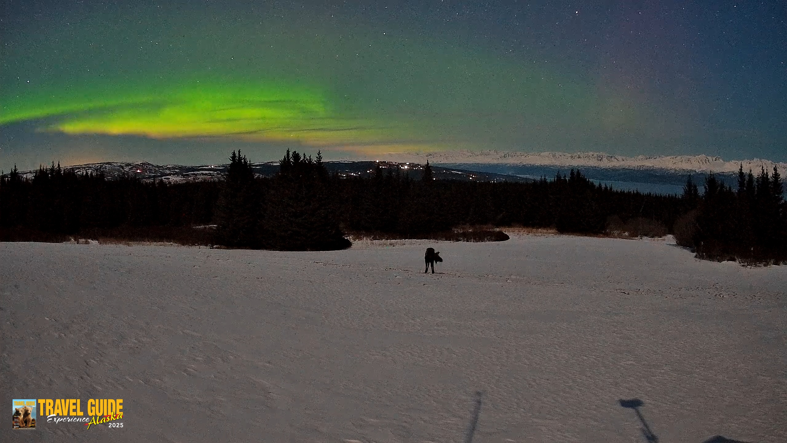 Snapshot of Homer Alaska Northern Lights Live Cam taken Mar 23, 2026, 11:36pm AKDT