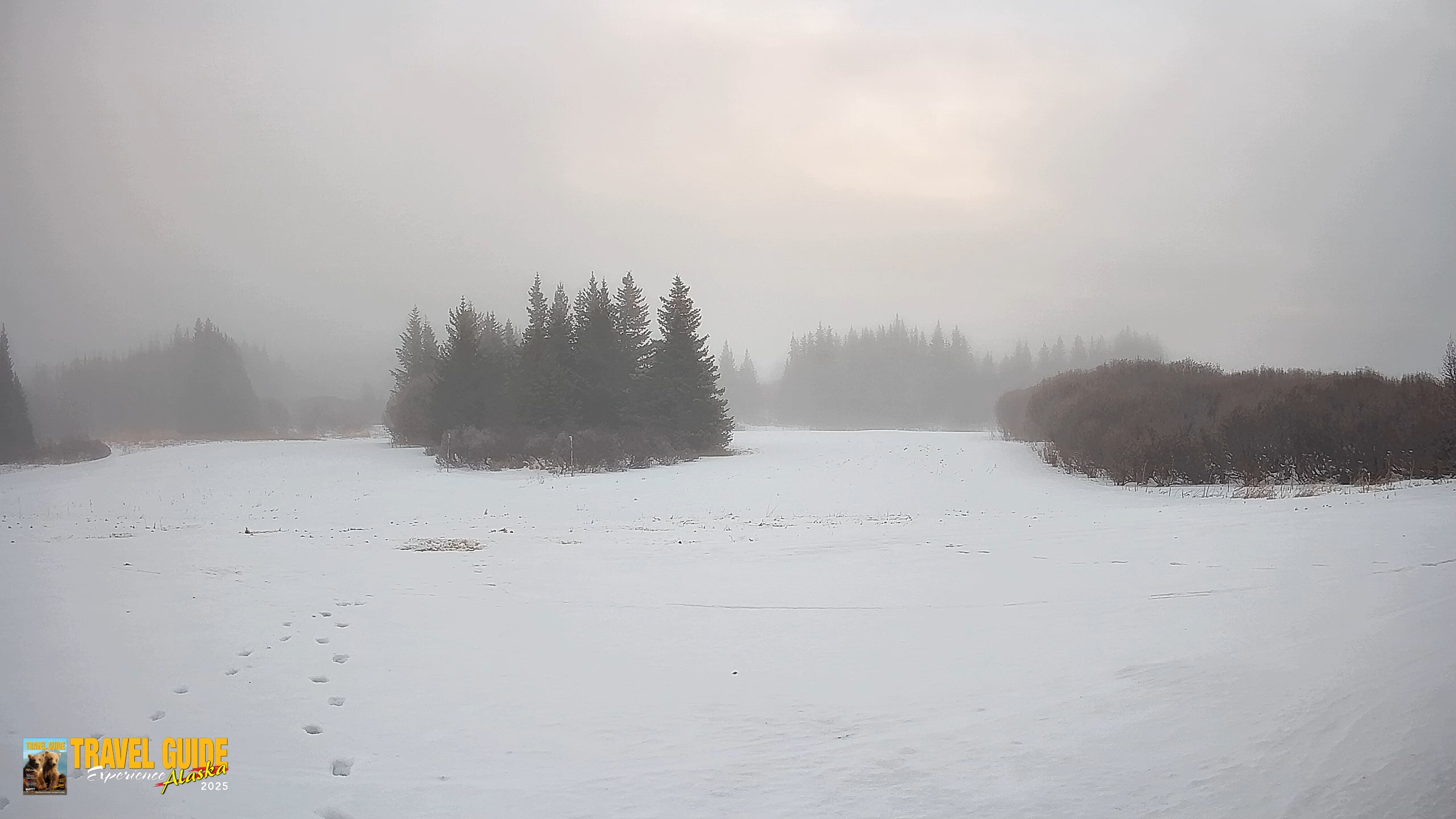 Snapshot of Homer Alaska Northern Lights Live Cam taken Jan 26, 2026, 12:09pm AKST