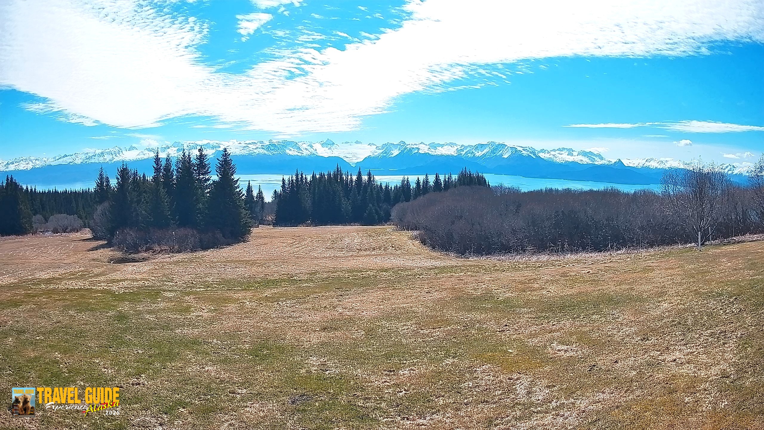 Snapshot of Homer Alaska Northern Lights Live Cam taken May 25, 2026, 11:03am AKDT