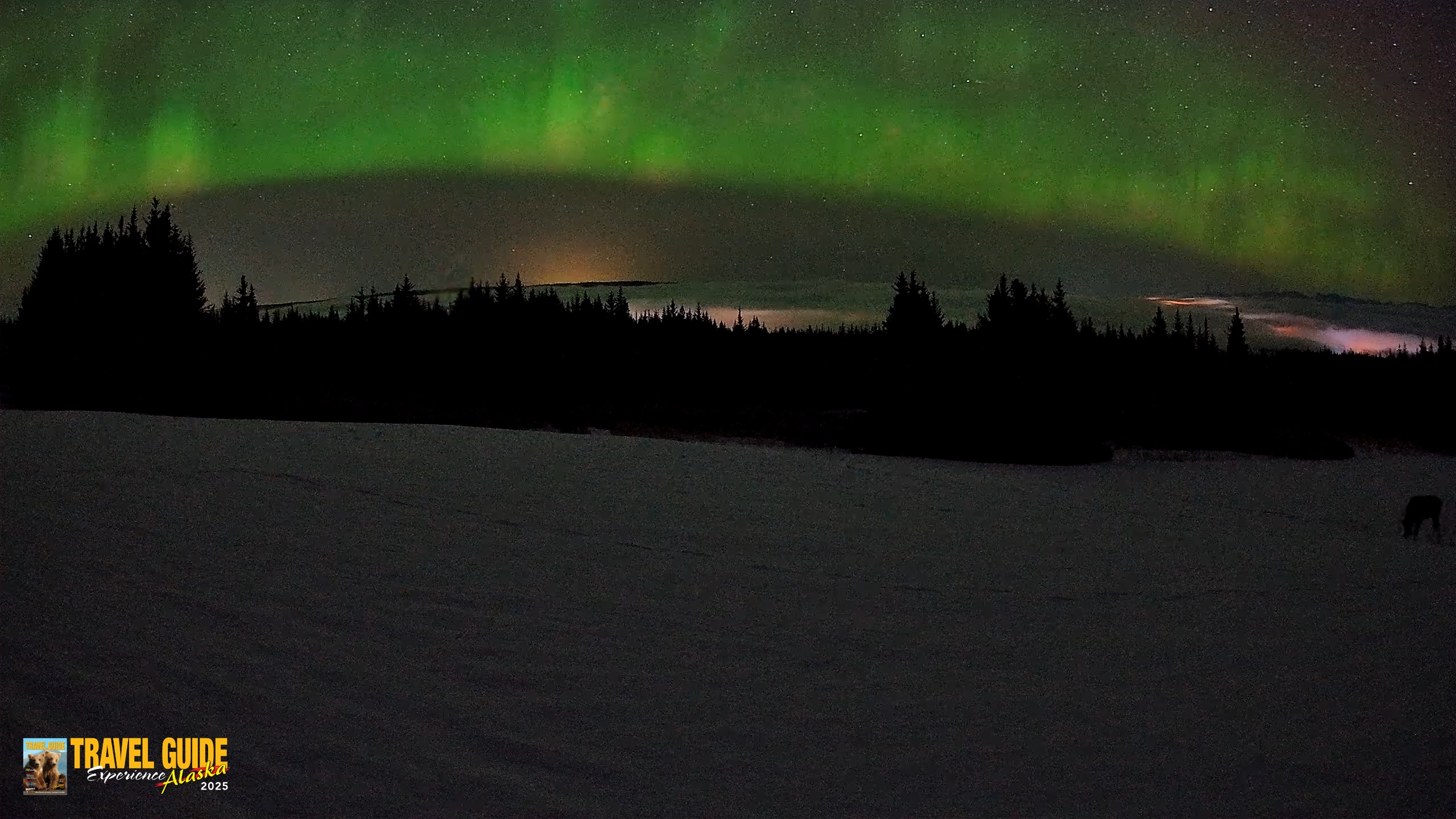 Snapshot of Homer Alaska Northern Lights Live Cam taken Feb 19, 2026, 3:44am AKST