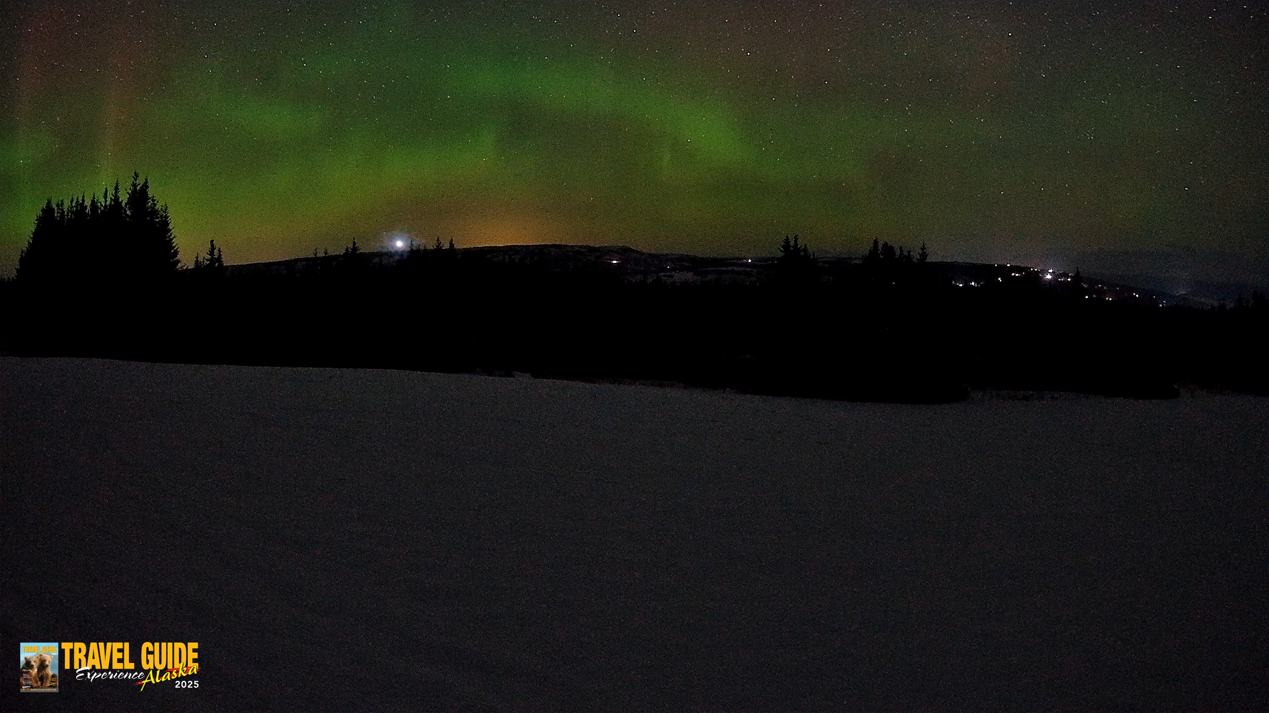 Snapshot of Homer Alaska Northern Lights Live Cam taken Feb 20, 2026, 3:22am AKST