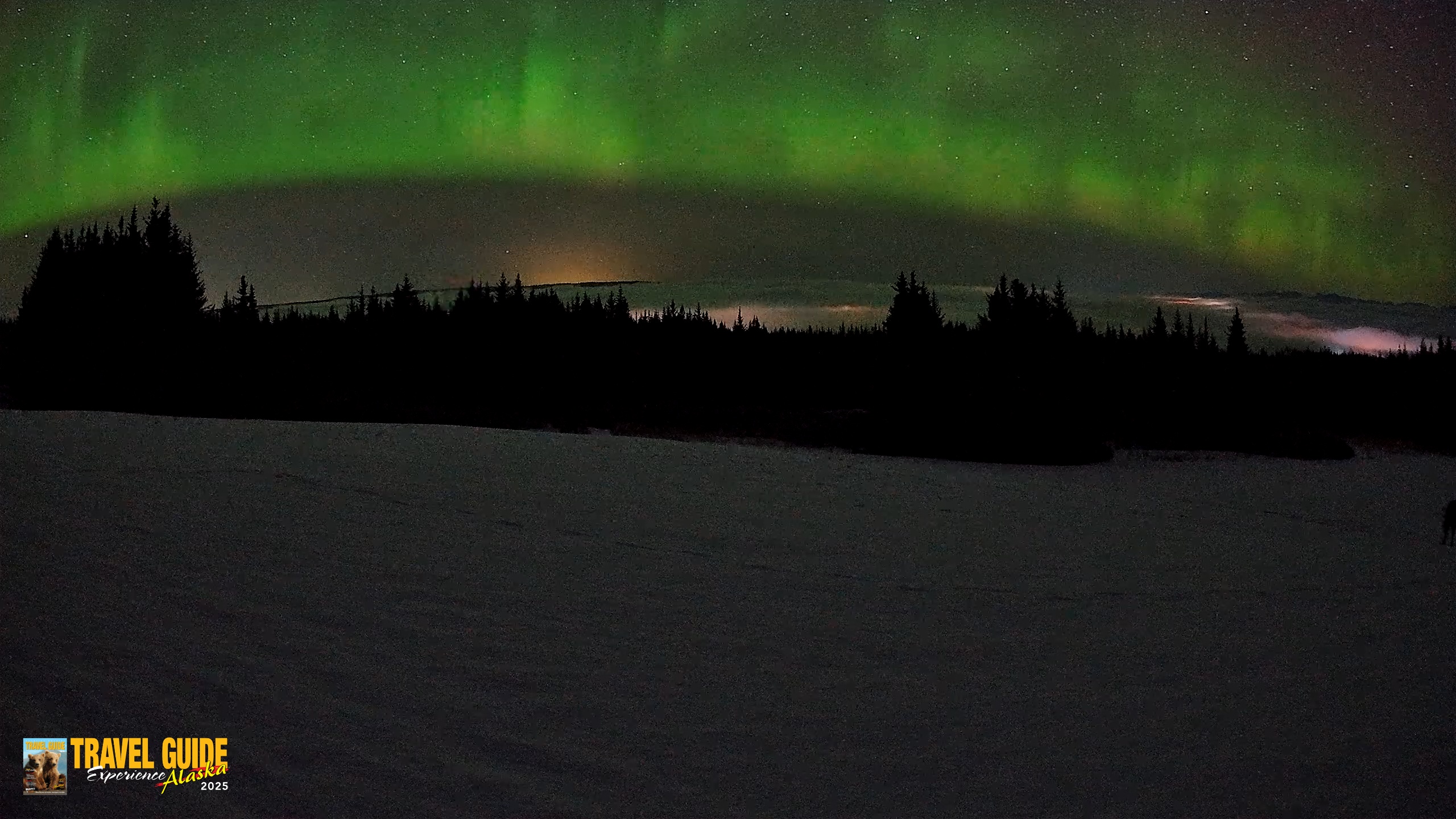 Snapshot of Homer Alaska Northern Lights Live Cam taken Feb 19, 2026, 3:43am AKST