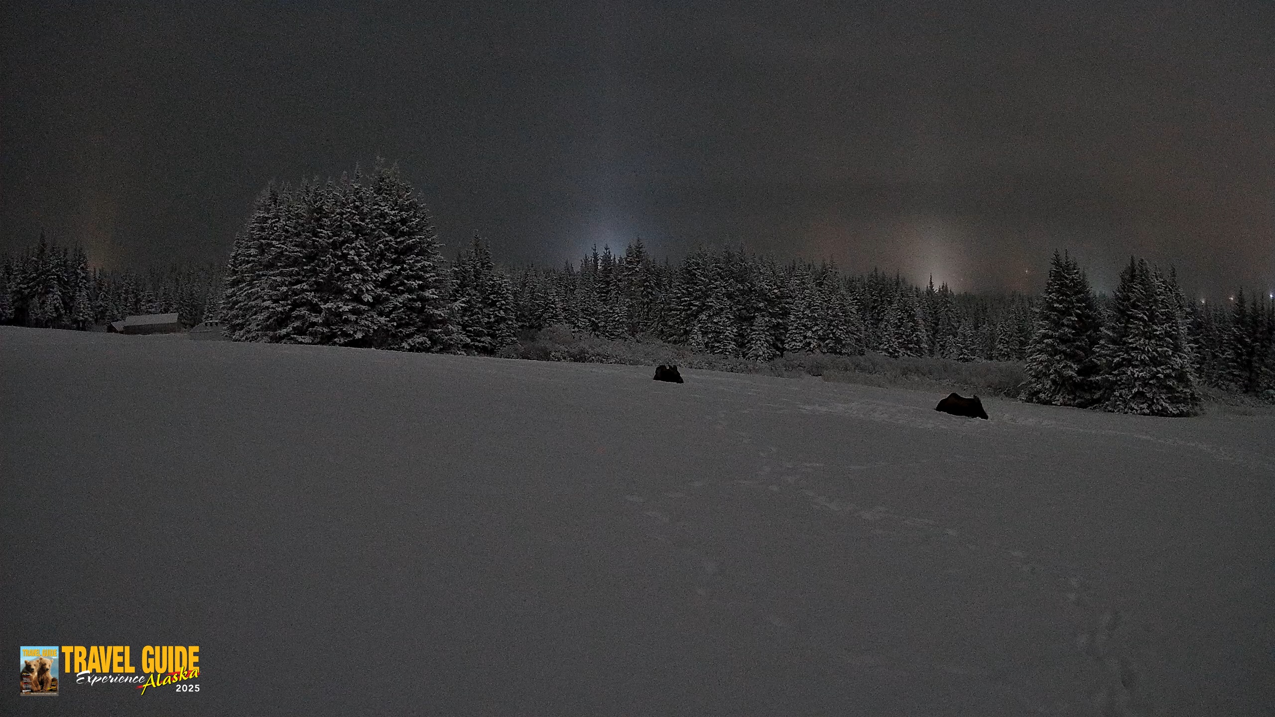 Snapshot of Homer Alaska Northern Lights Live Cam taken Jan 13, 2026, 11:44pm AKST