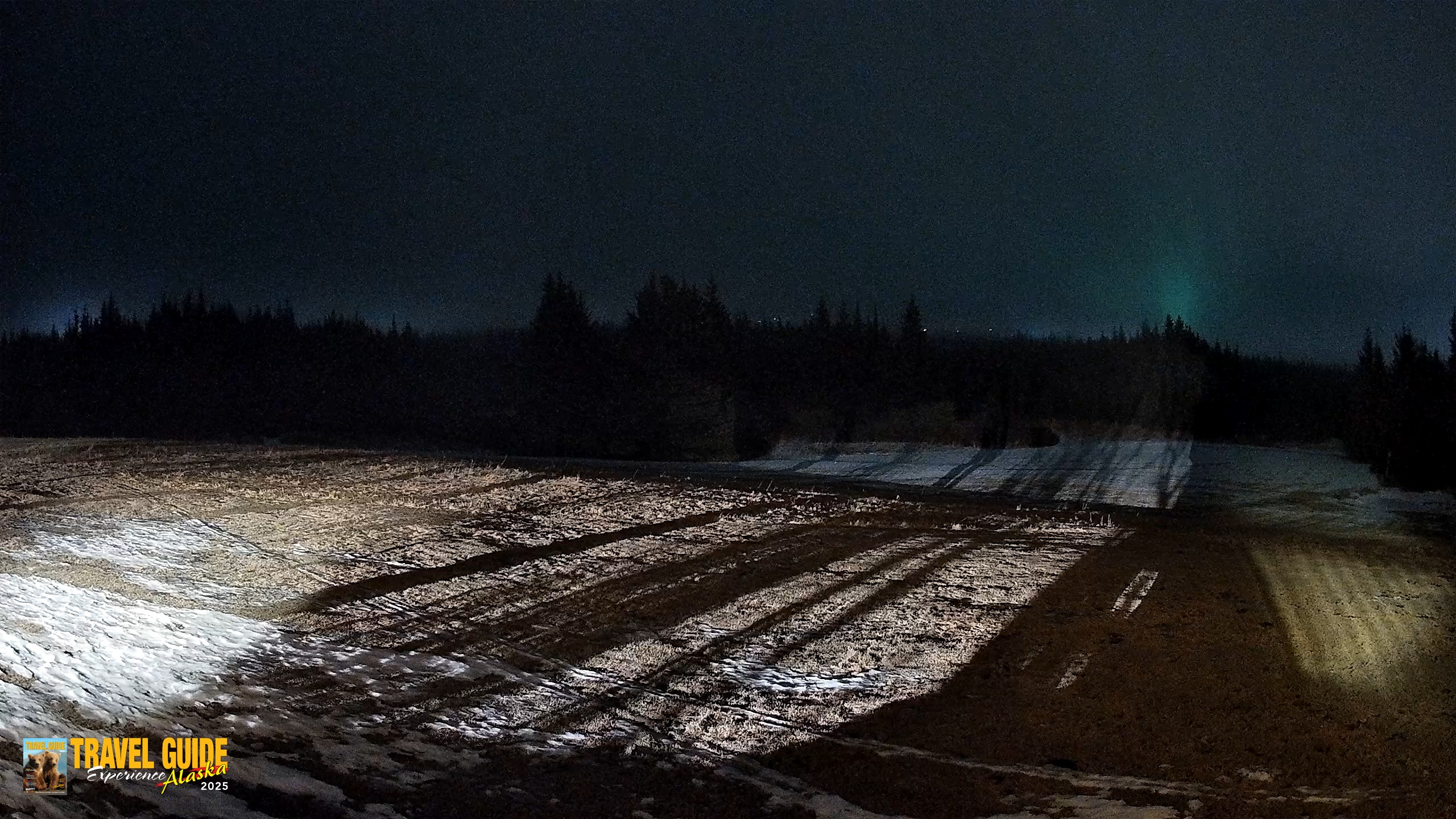 Snapshot of Homer Alaska Northern Lights Live Cam taken Feb 8, 2026, 9:05pm AKST