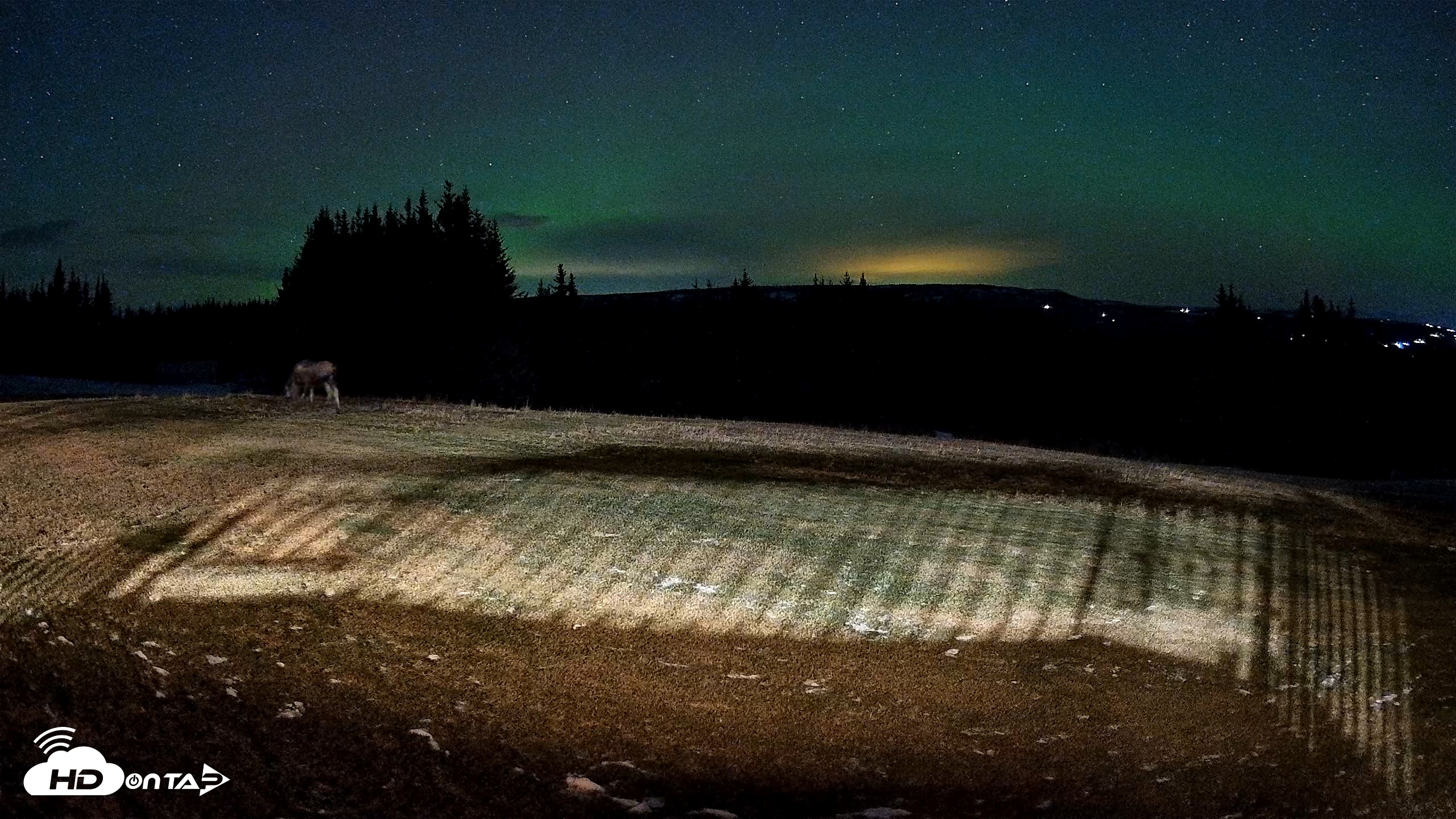 Snapshot of Homer Alaska Northern Lights Live Cam taken Dec 11, 2025, 8:59pm AKST