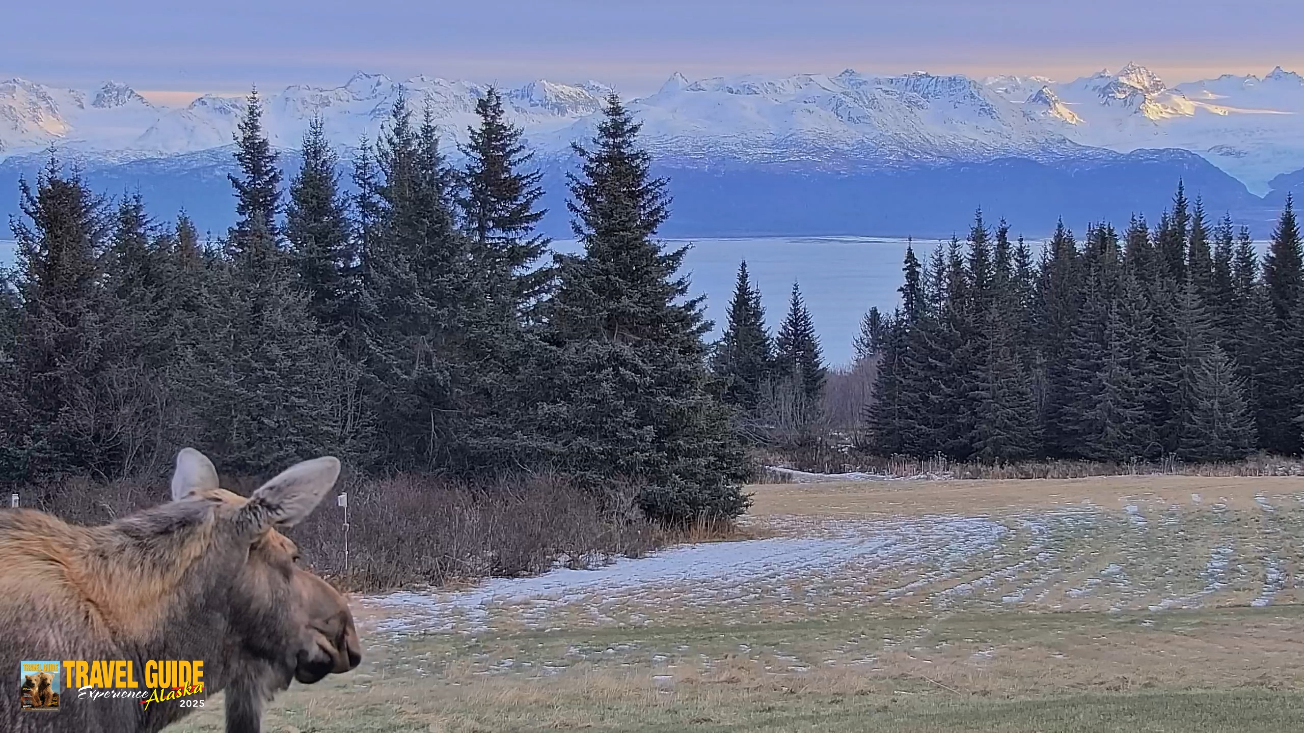 Snapshot of Homer Alaska Northern Lights Live Cam taken Dec 22, 2025, 2:38pm AKST