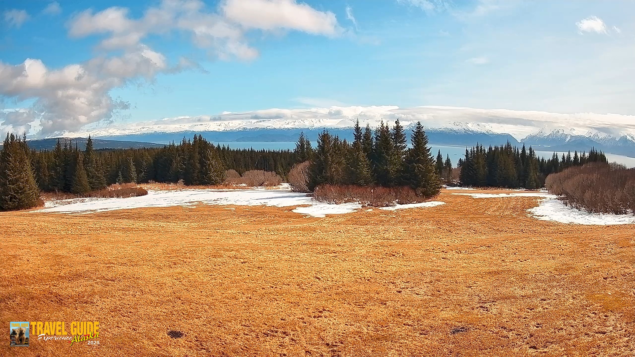 Snapshot of Homer Alaska Northern Lights Live Cam taken Apr 21, 2026, 1:17pm AKDT