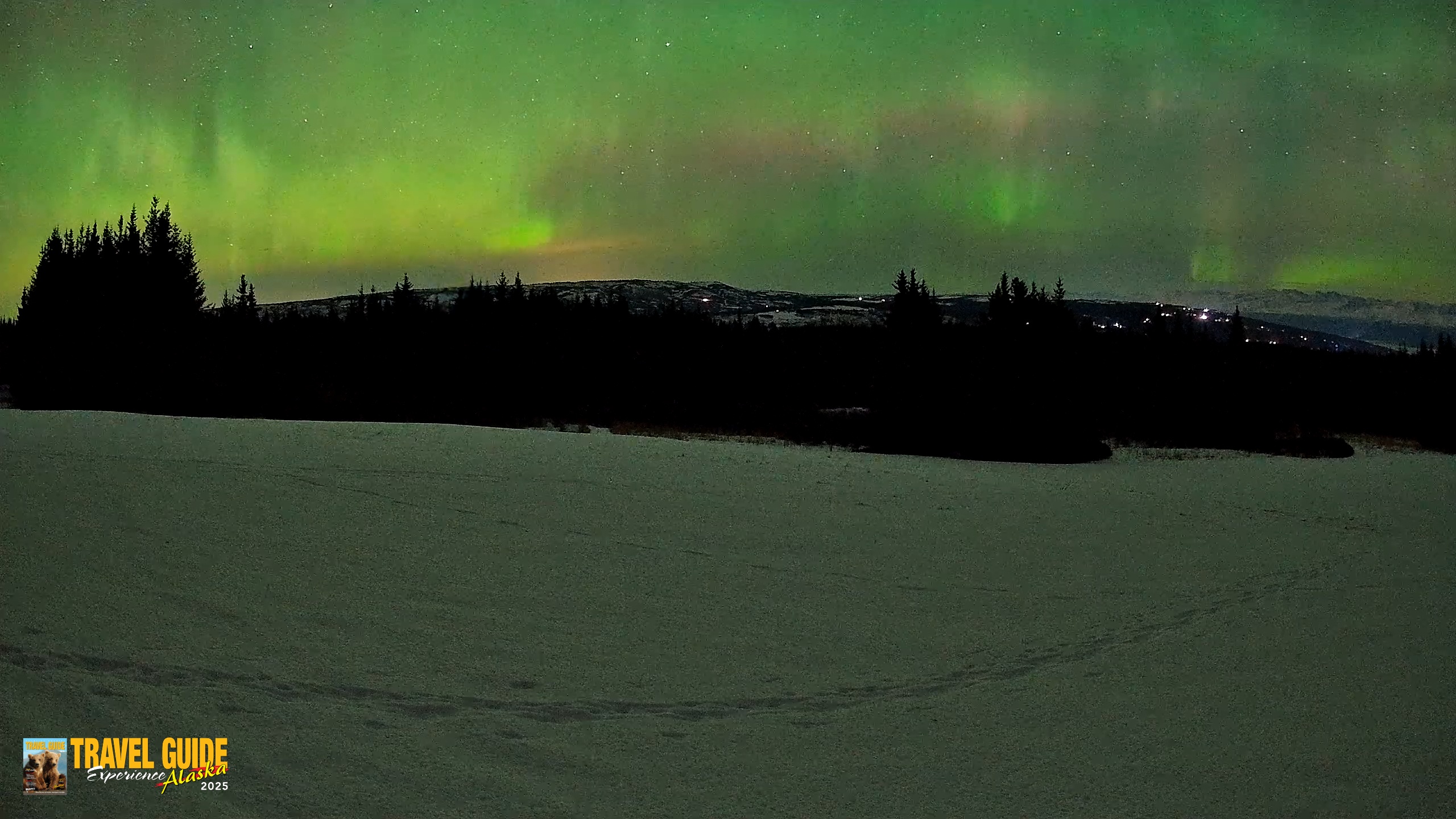 Snapshot of Homer Alaska Northern Lights Live Cam taken Feb 22, 2026, 12:20am AKST