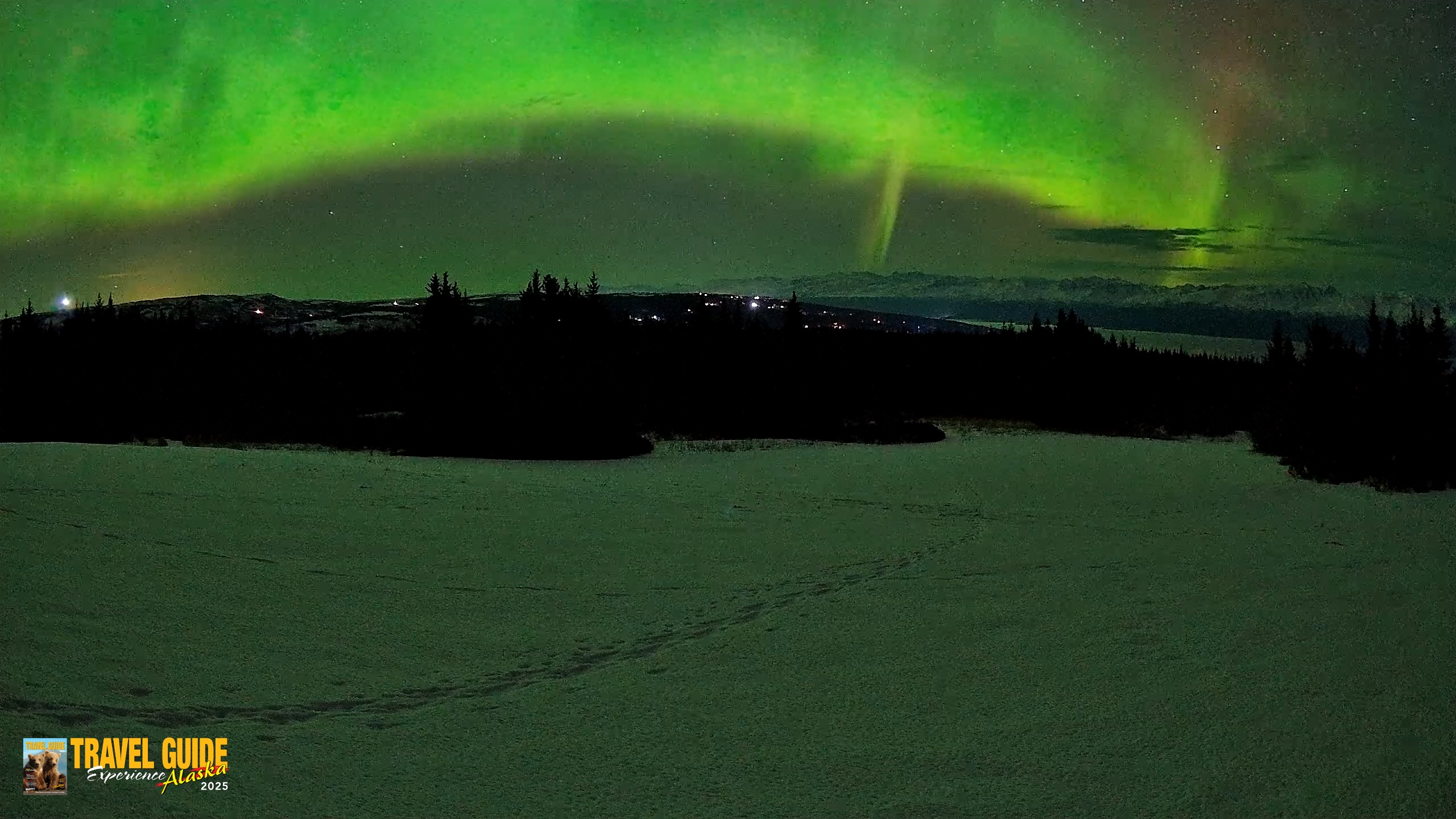 Snapshot of Homer Alaska Northern Lights Live Cam taken Feb 22, 2026, 4:59am AKST