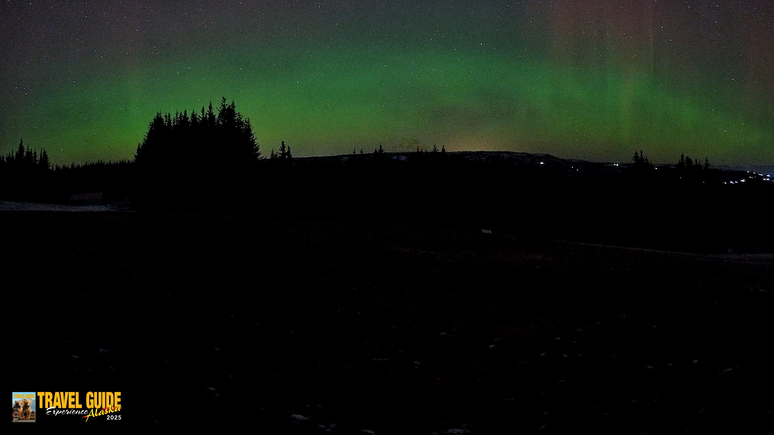 Snapshot of Homer Alaska Northern Lights Live Cam taken Dec 17, 2025, 10:52pm AKST